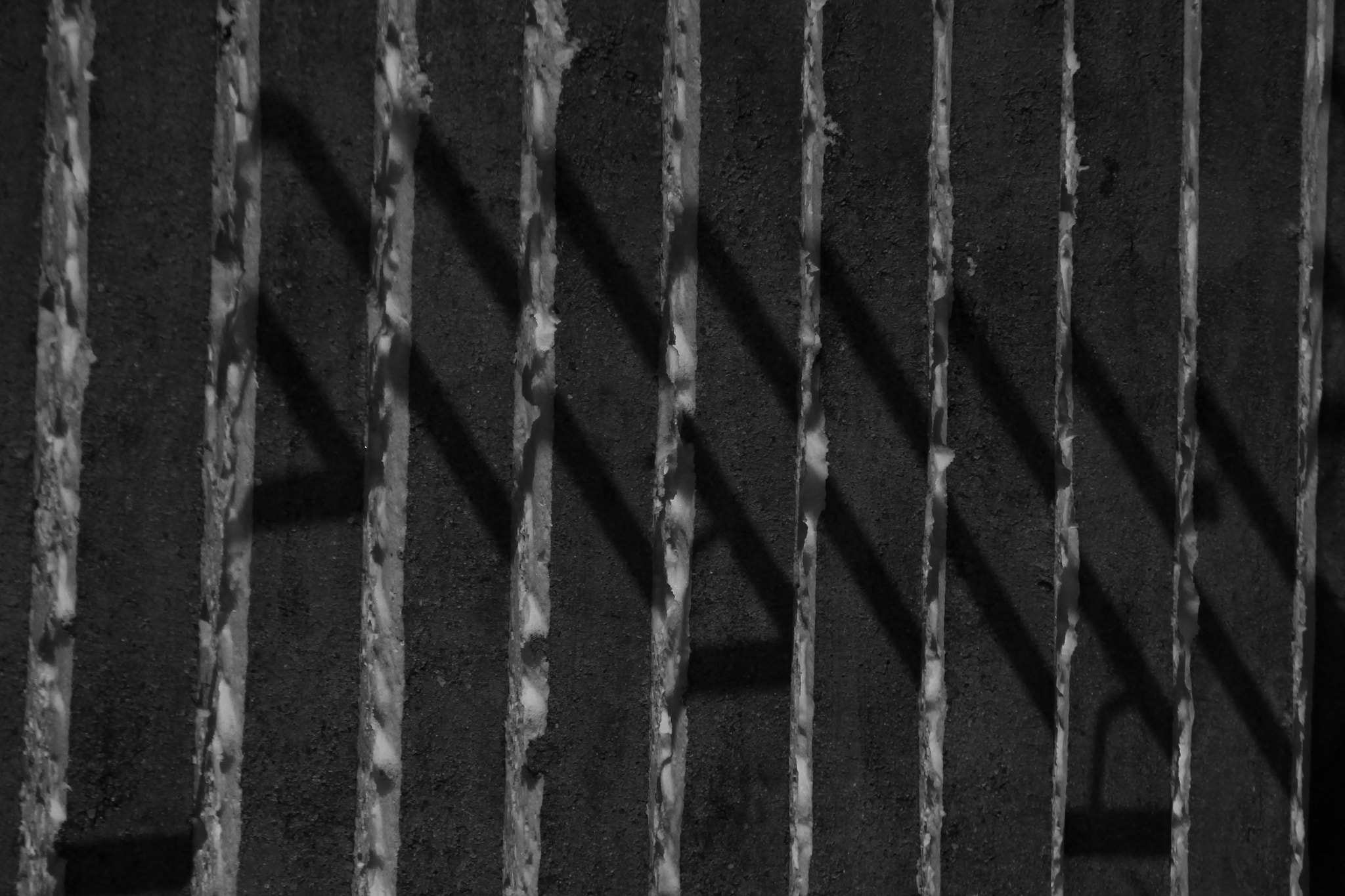 Canon EF 70-210mm f/3.5-4.5 USM sample photo. Stripped conscience photography