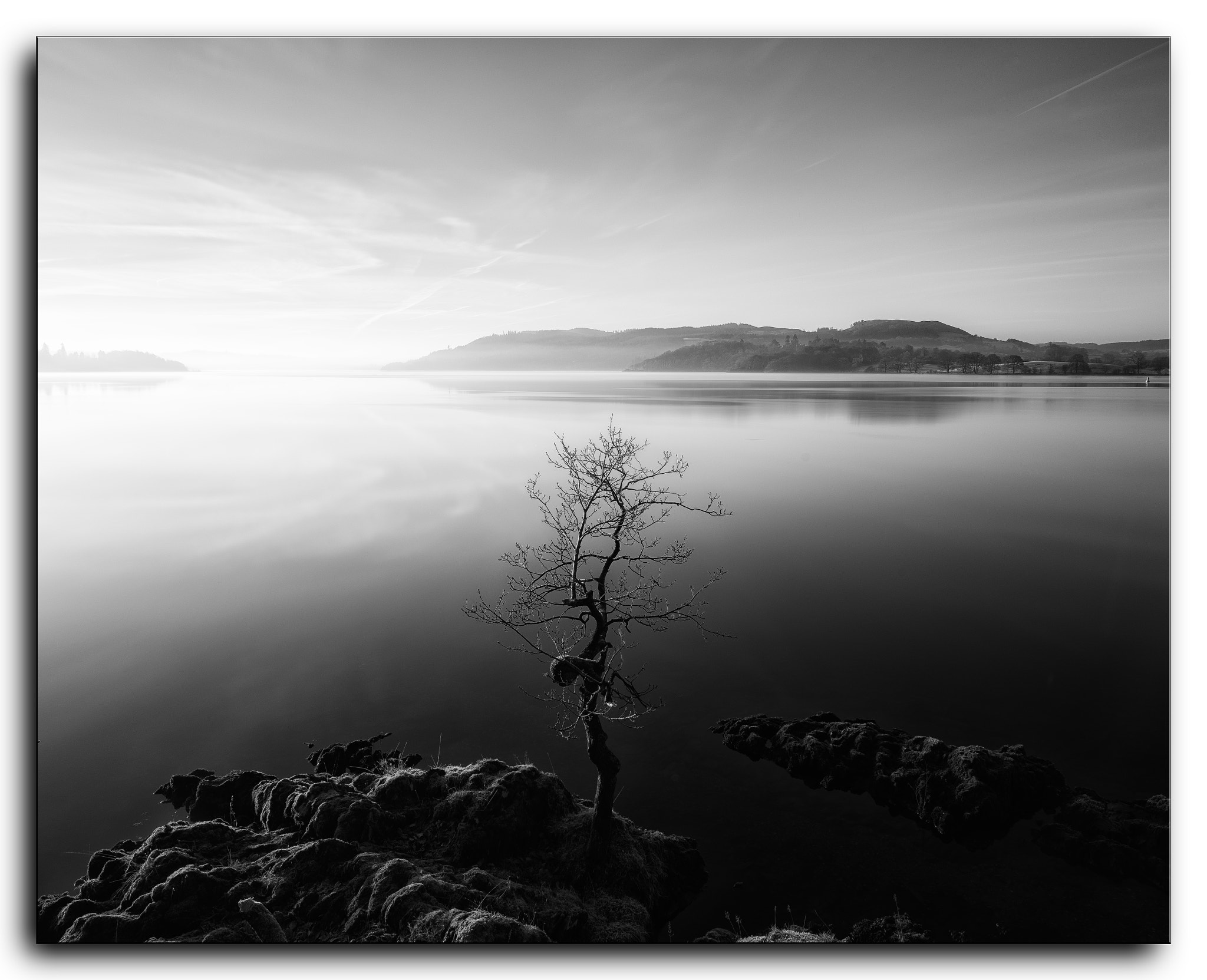 Nikon D610 + Nikon AF-S Nikkor 20mm F1.8G ED sample photo. Windermere tree at sunrise. photography
