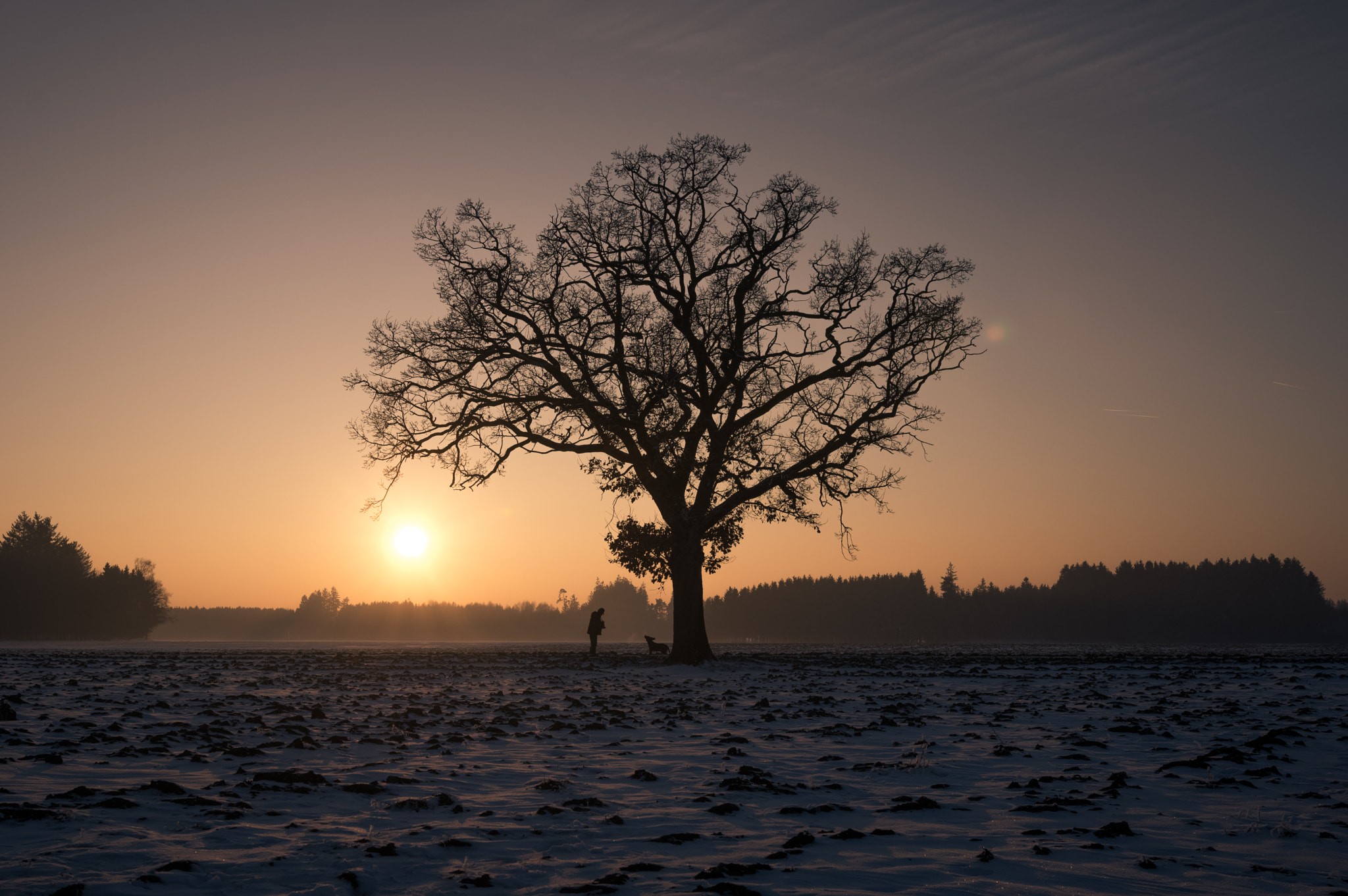 Pentax K-3 II sample photo. Best friends photography