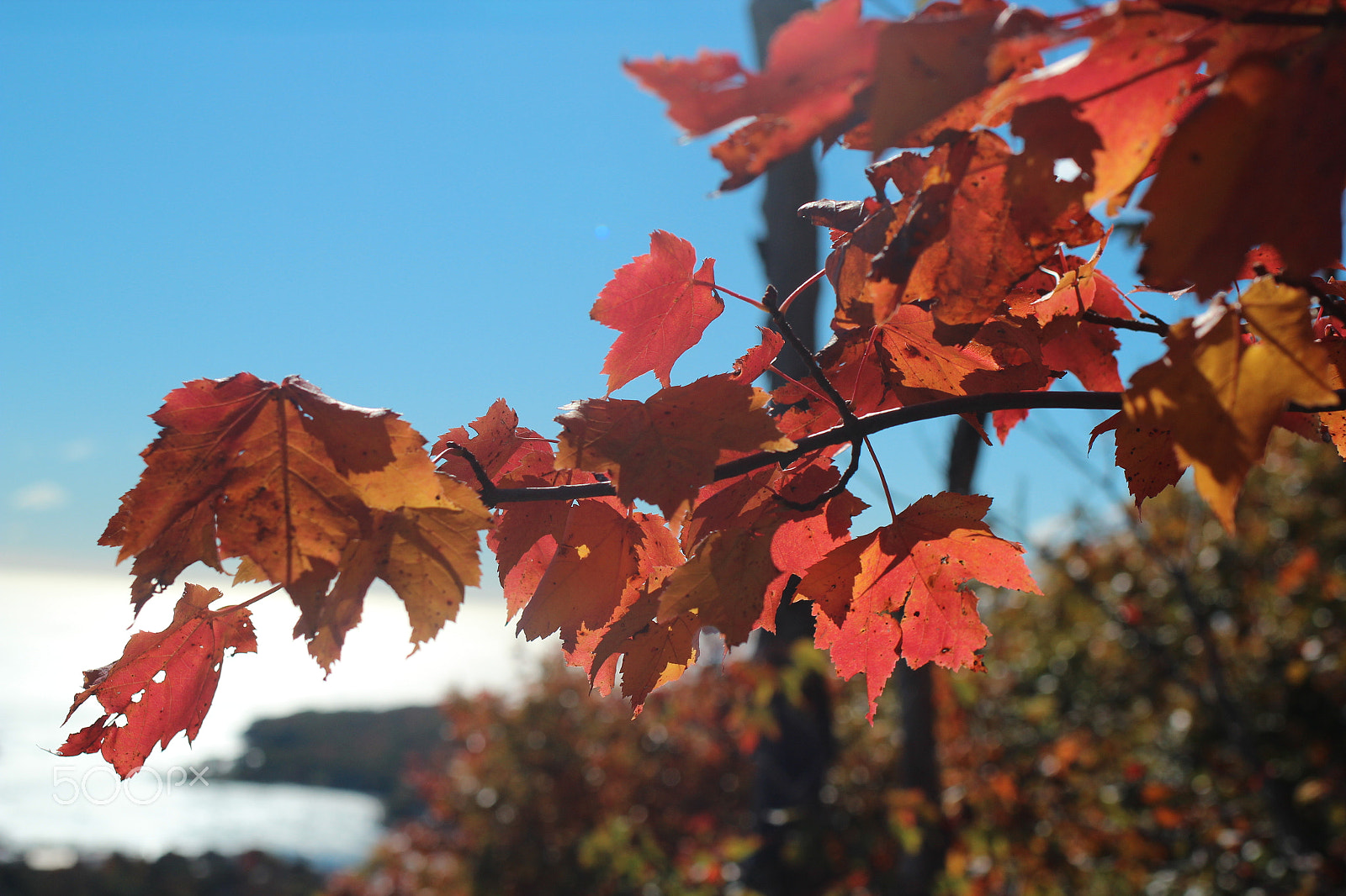 Canon EOS 600D (Rebel EOS T3i / EOS Kiss X5) + Canon EF 35mm F2 IS USM sample photo. Maine photography