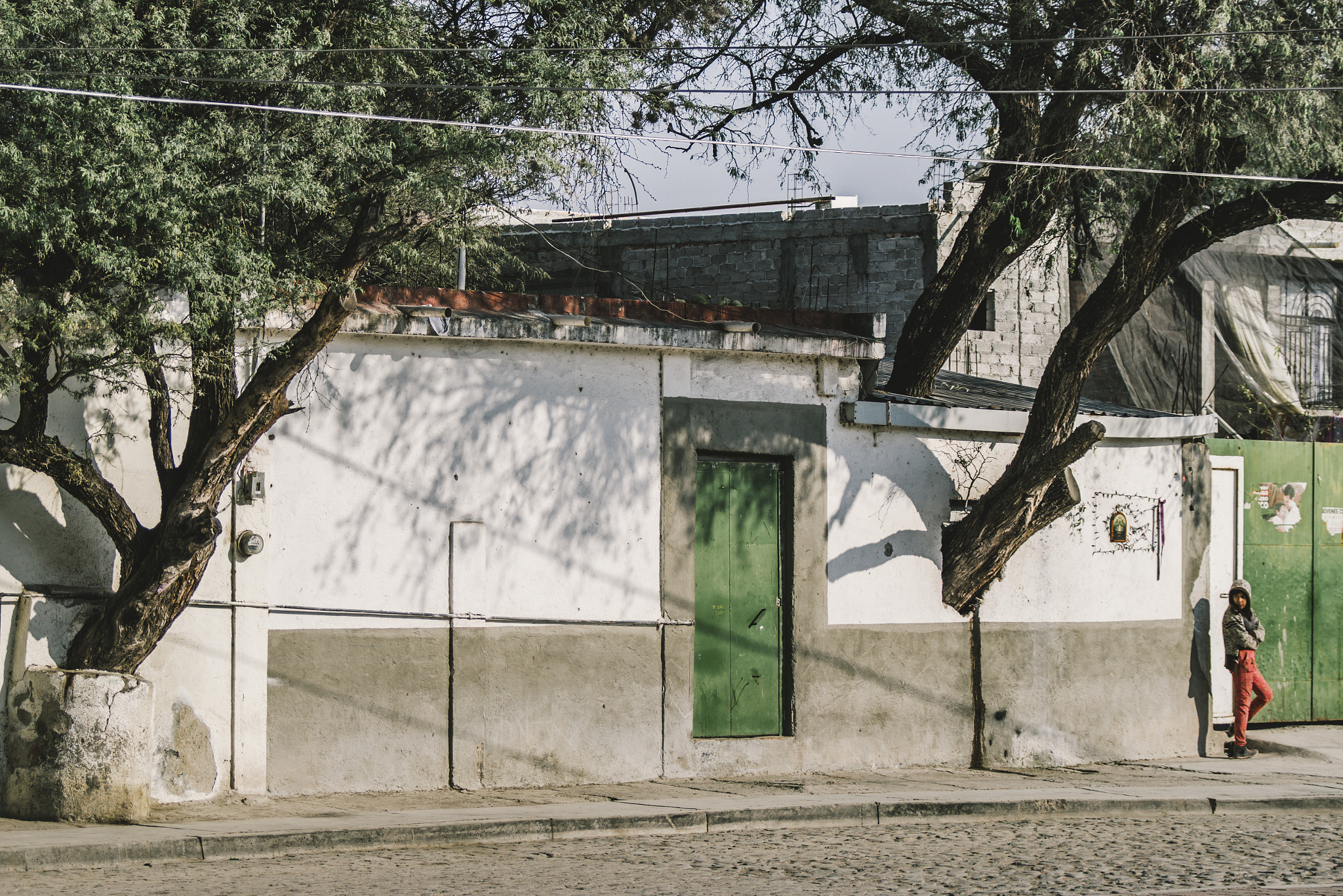 A Series Lens sample photo. La casa del árbol x 2 photography