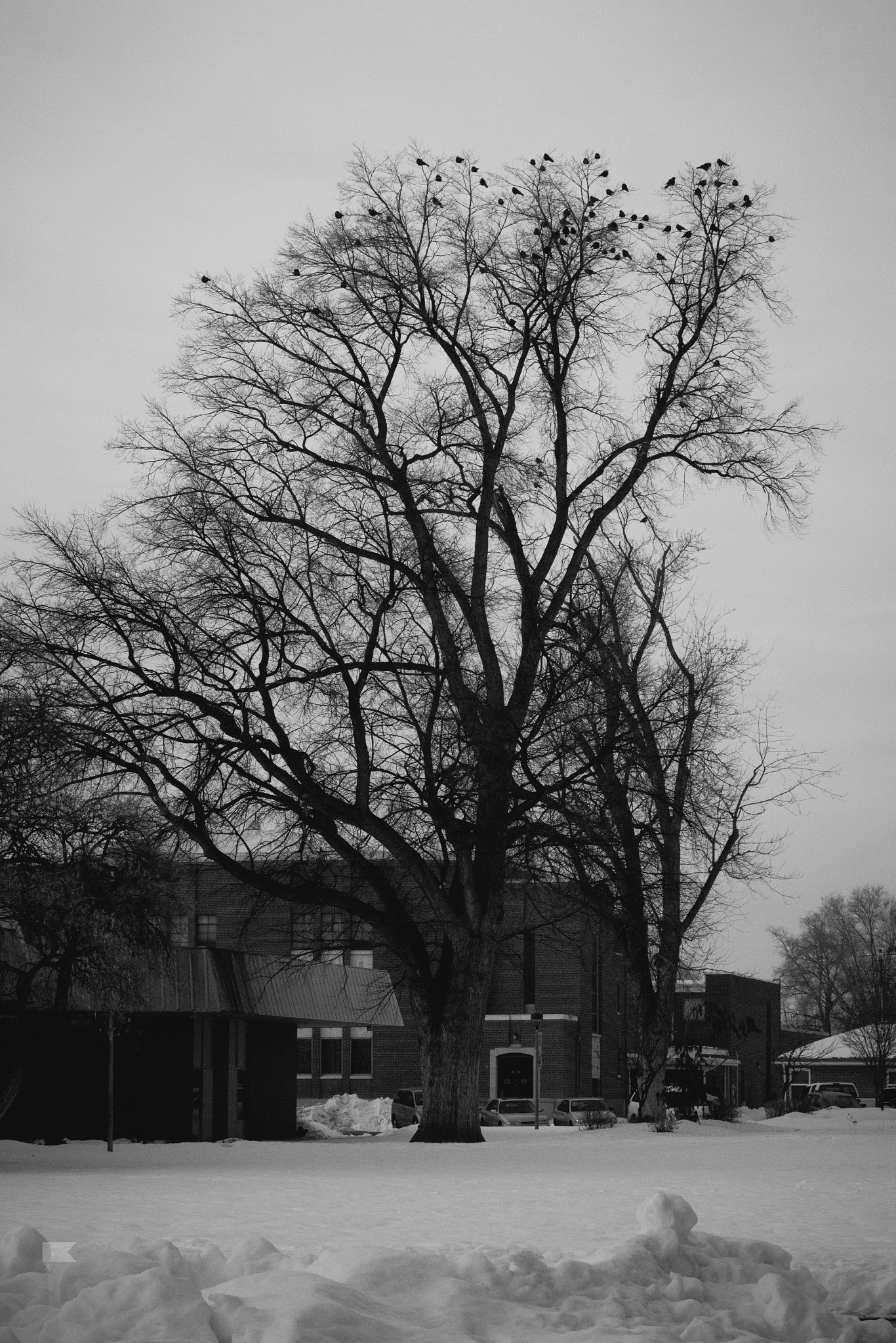 Canon EF 28-80mm f/3.5-5.6 sample photo. Lumbar fragmented. photography