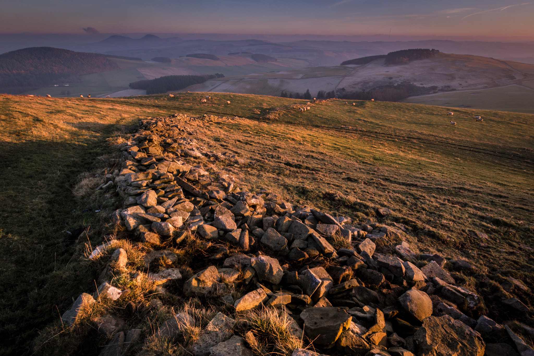 Sigma 10-20mm F3.5 EX DC HSM sample photo. Looking over the scottish borders hills in the late afternoon sun. photography