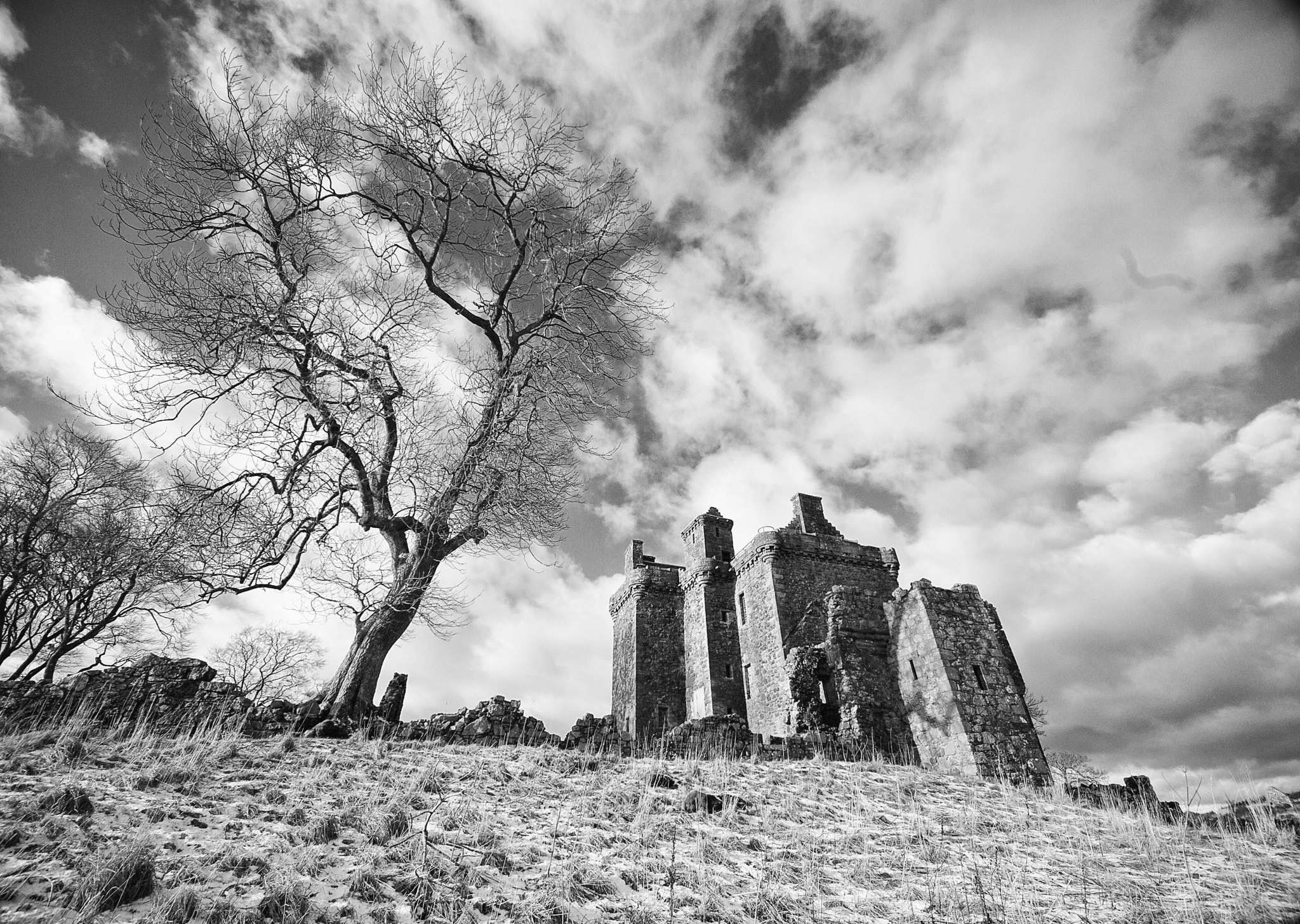 Canon EOS 5D + Sigma 10-20mm F4-5.6 EX DC HSM sample photo. Enduring resilience photography