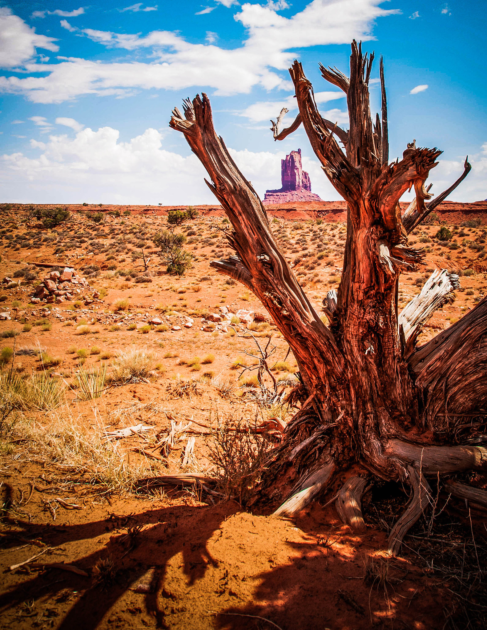 Nikon D300S + Sigma 18-250mm F3.5-6.3 DC OS HSM sample photo. Monument valley photography