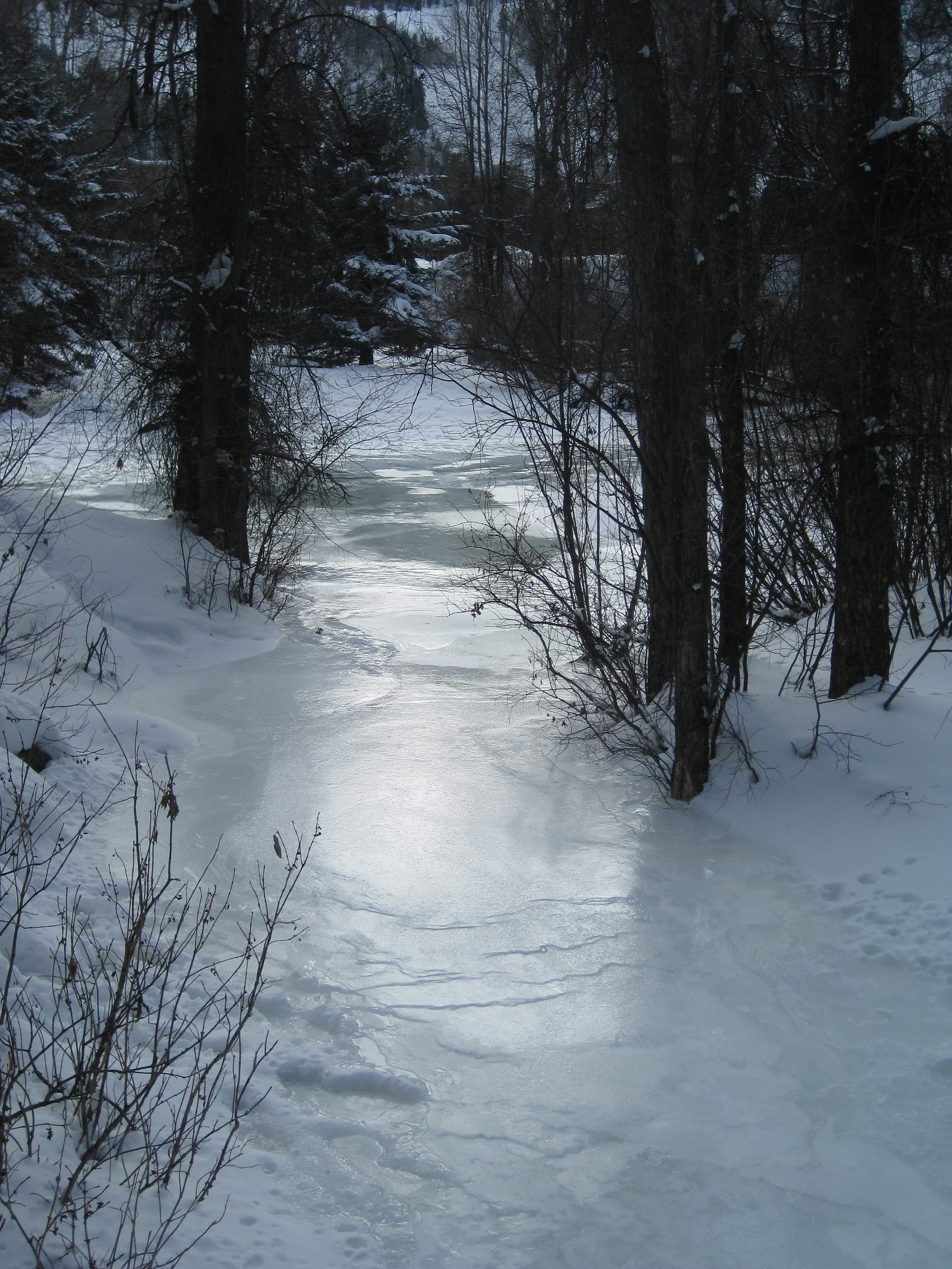 Canon PowerShot SD1100 IS (Digital IXUS 80 IS / IXY Digital 20 IS) sample photo. Colorado winter photography