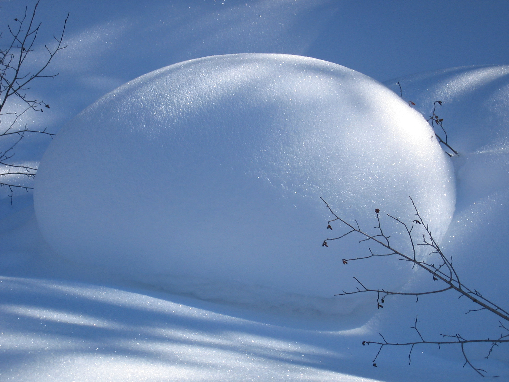 Canon POWERSHOT S400 sample photo. Colorado winter photography