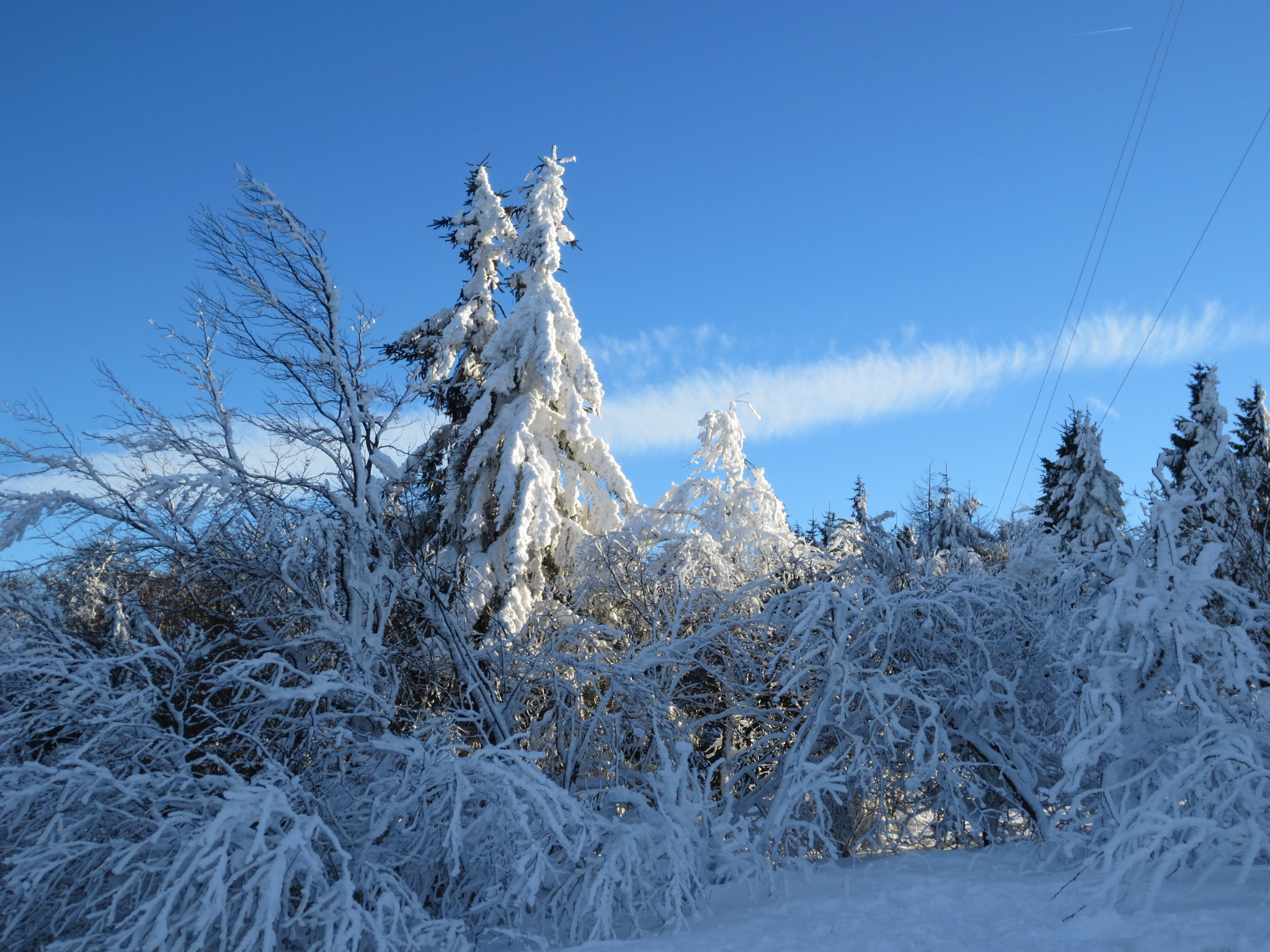 Canon PowerShot ELPH 110HS (PowerShot IXUS 125 HS) sample photo. Winter wonderland taunus photography