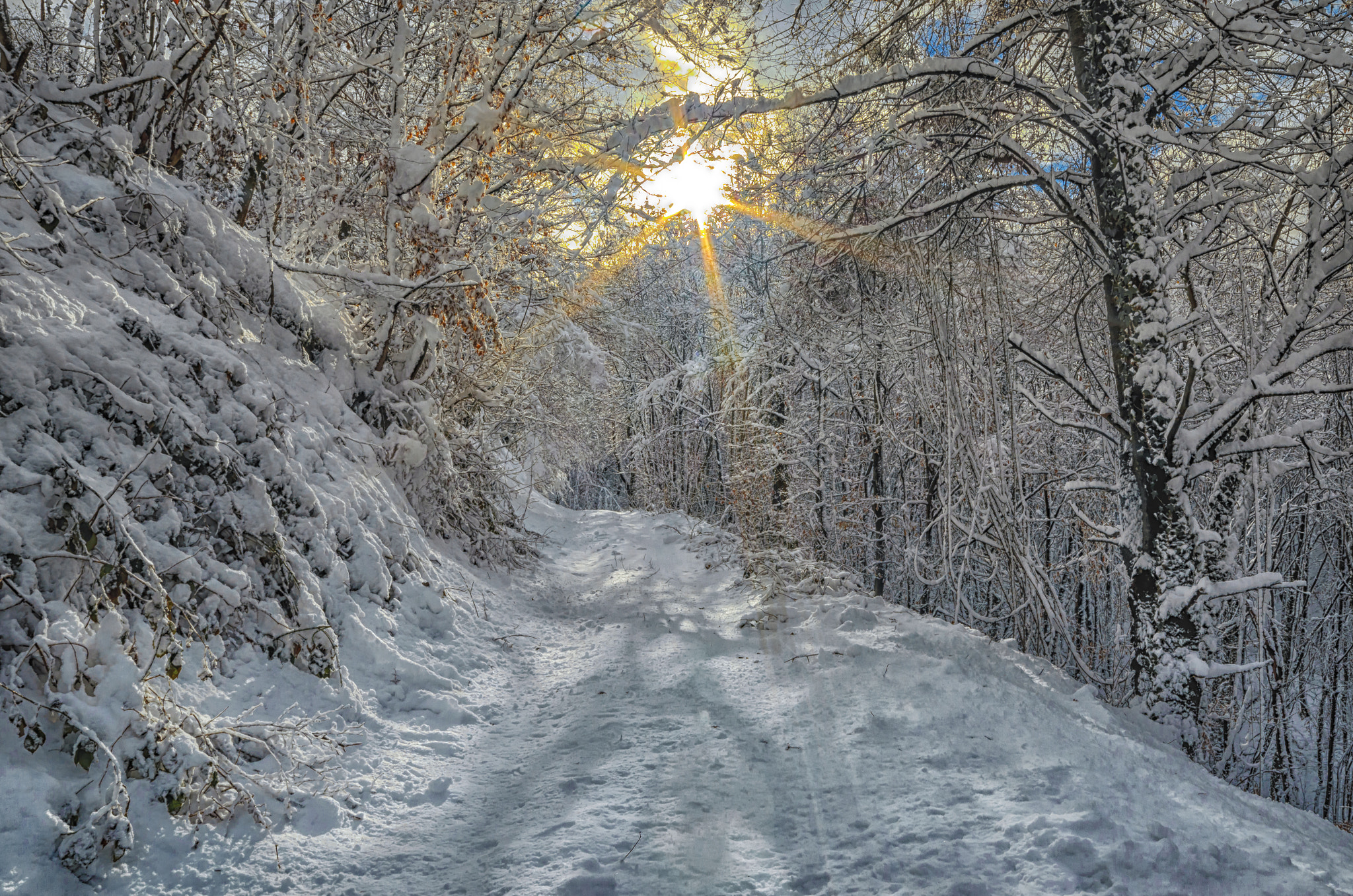 Samyang 14mm F2.8 ED AS IF UMC sample photo. Winterly sun photography