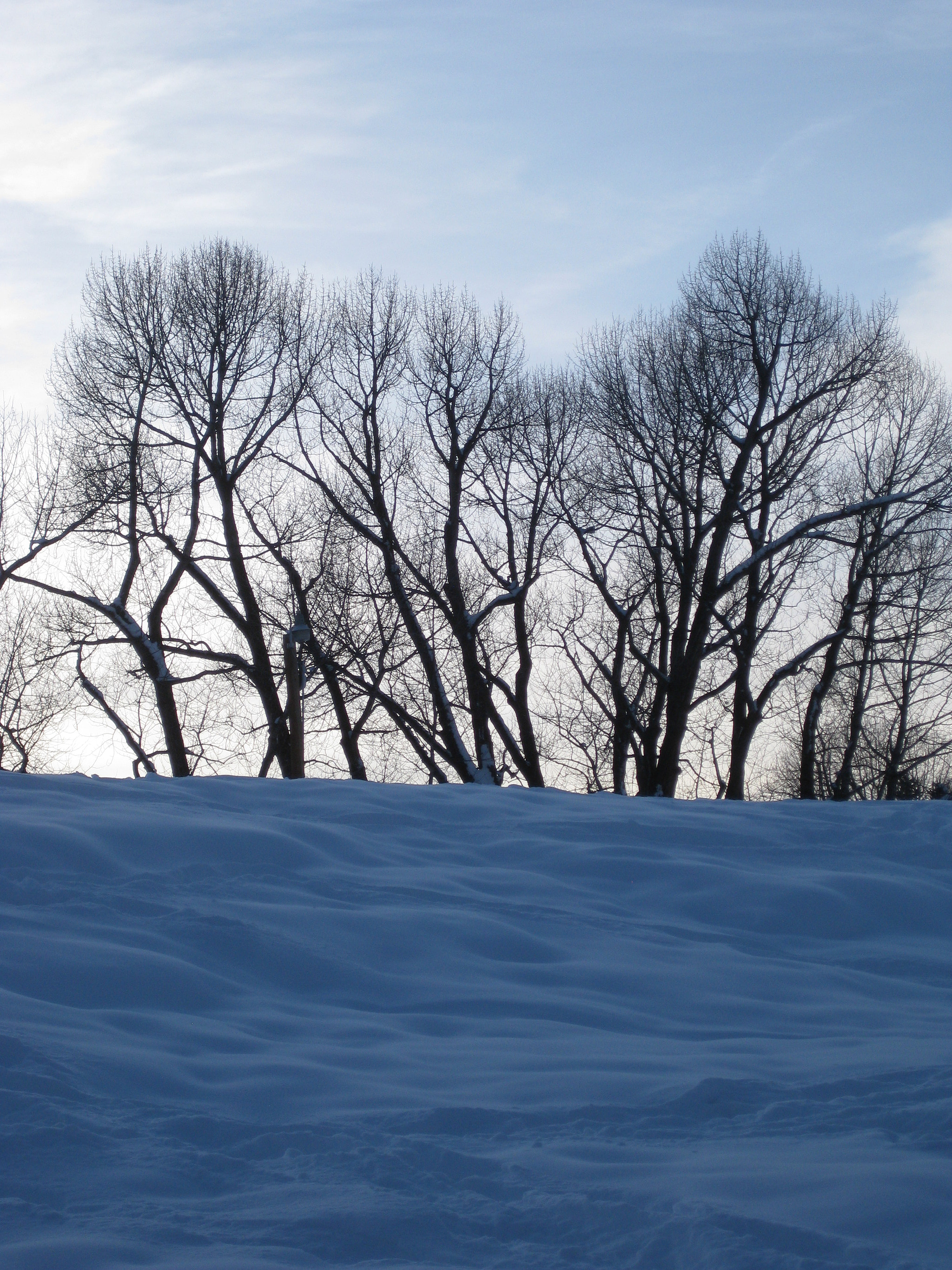 Canon PowerShot SD1100 IS (Digital IXUS 80 IS / IXY Digital 20 IS) sample photo. Colorado winter photography