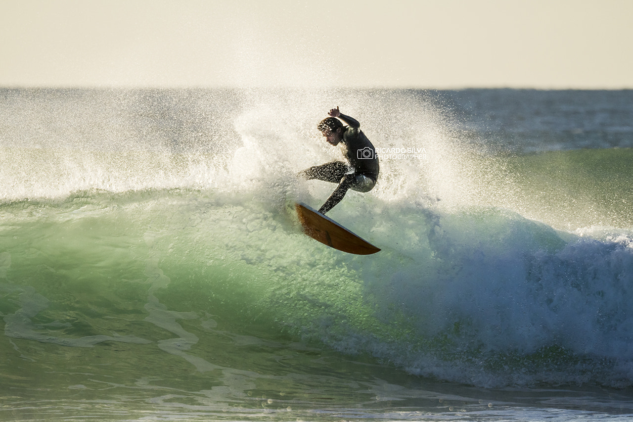 150-600mm F5-6.3 DG OS HSM | Sports 014 sample photo. Return to origins photography