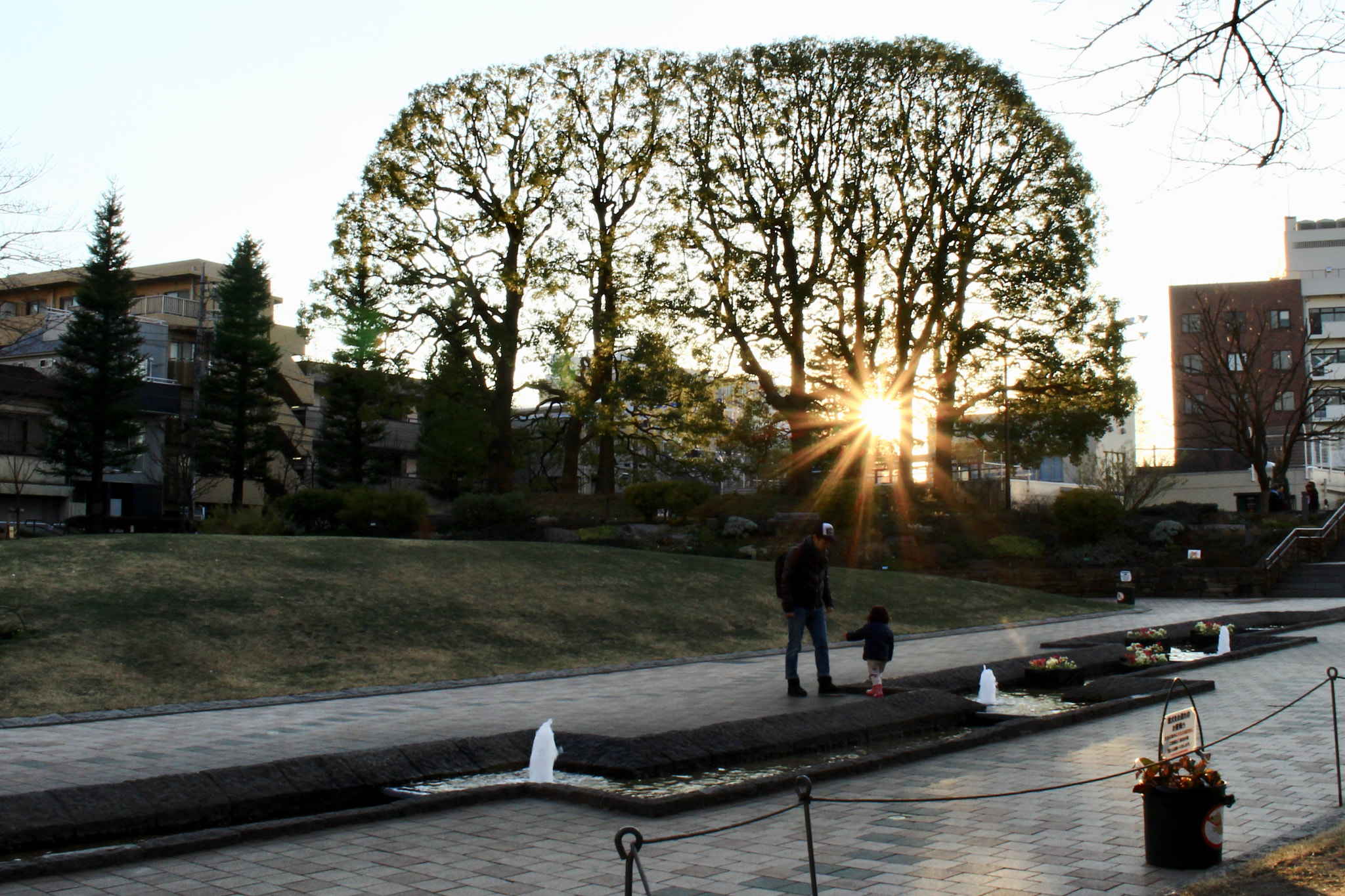 Canon EOS 700D (EOS Rebel T5i / EOS Kiss X7i) sample photo. A wintry sun photography