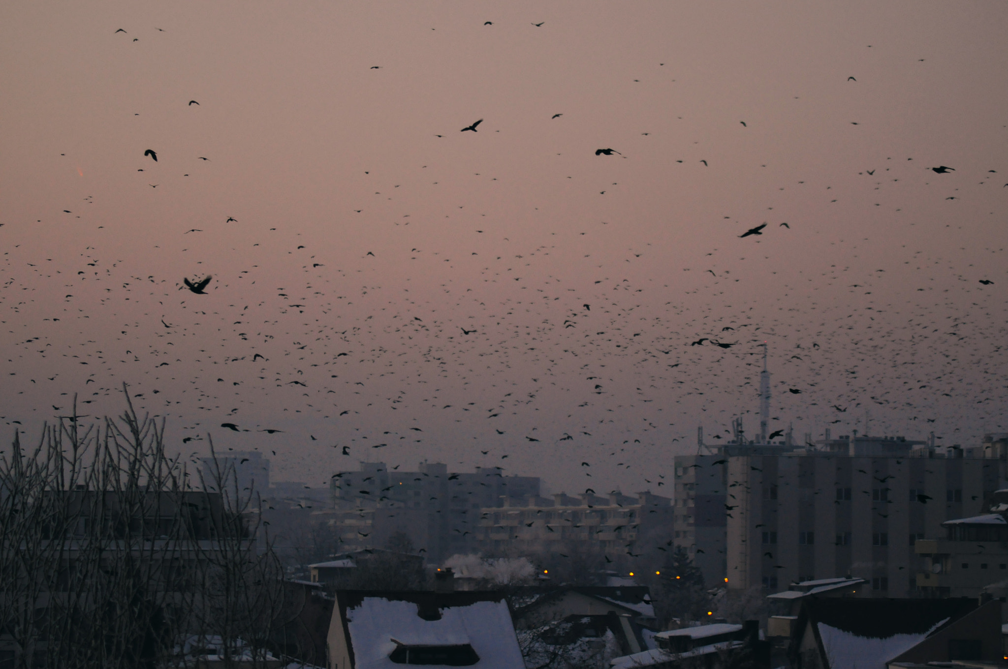 Nikon D5000 sample photo. 1% photography
