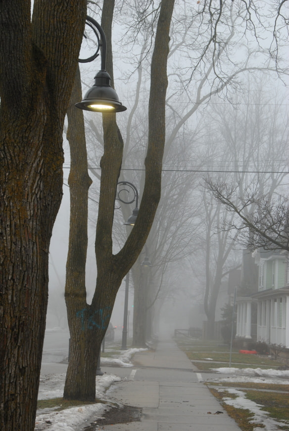 Nikon D3000 sample photo. Fog ~ mgła ~ neblina ~ pacha phuyu photography