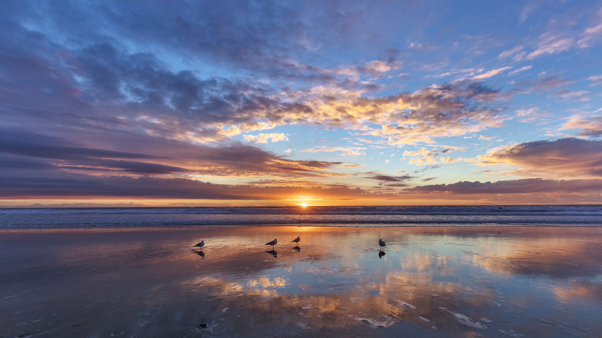 Canon EOS 5DS + Canon EF 300mm f/2.8L sample photo. Flock of seagulls photography