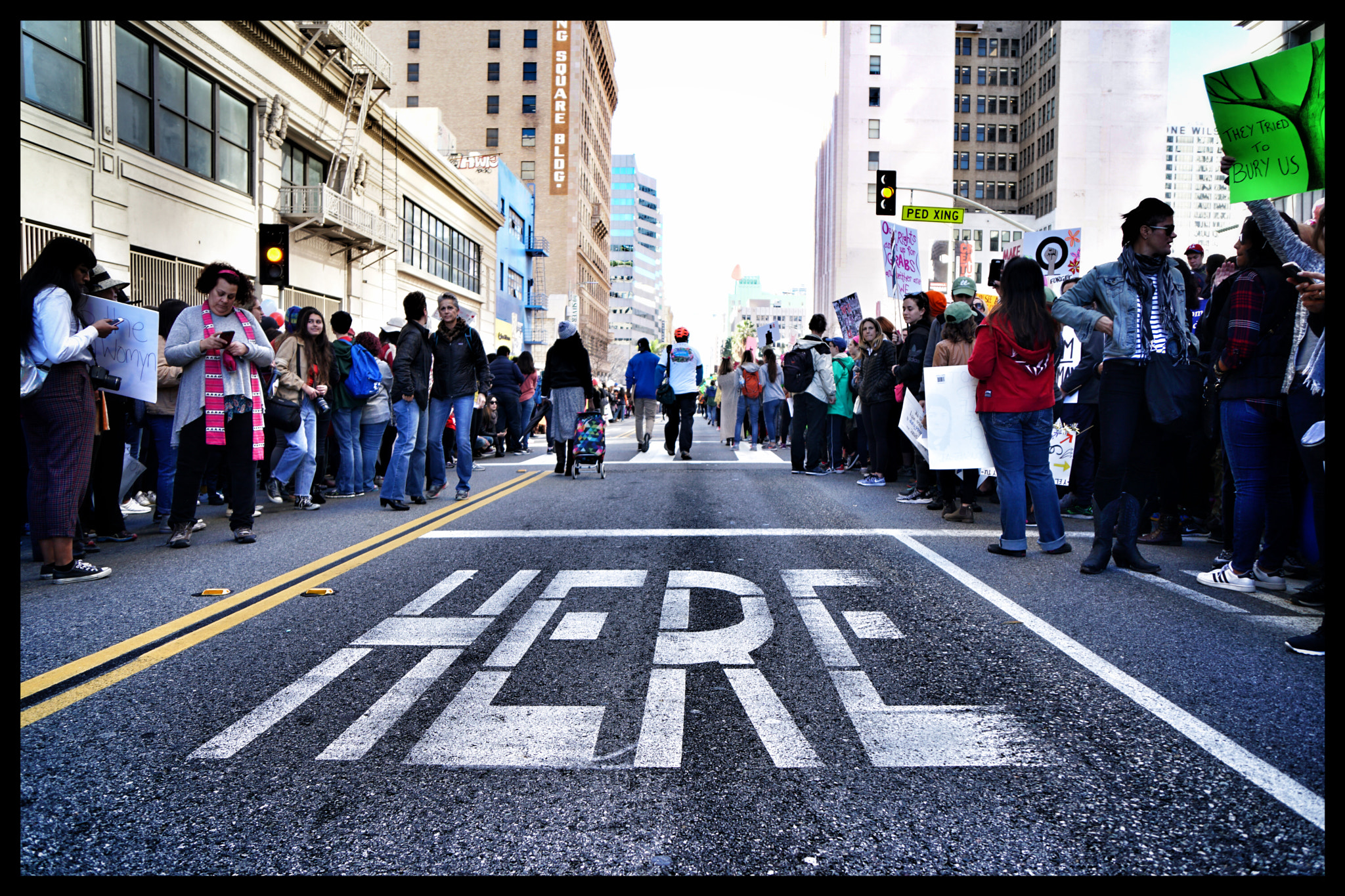 Sony a6300 + Sony Vario-Tessar T* E 16-70mm F4 ZA OSS sample photo. Woman's march los angeles 2 photography