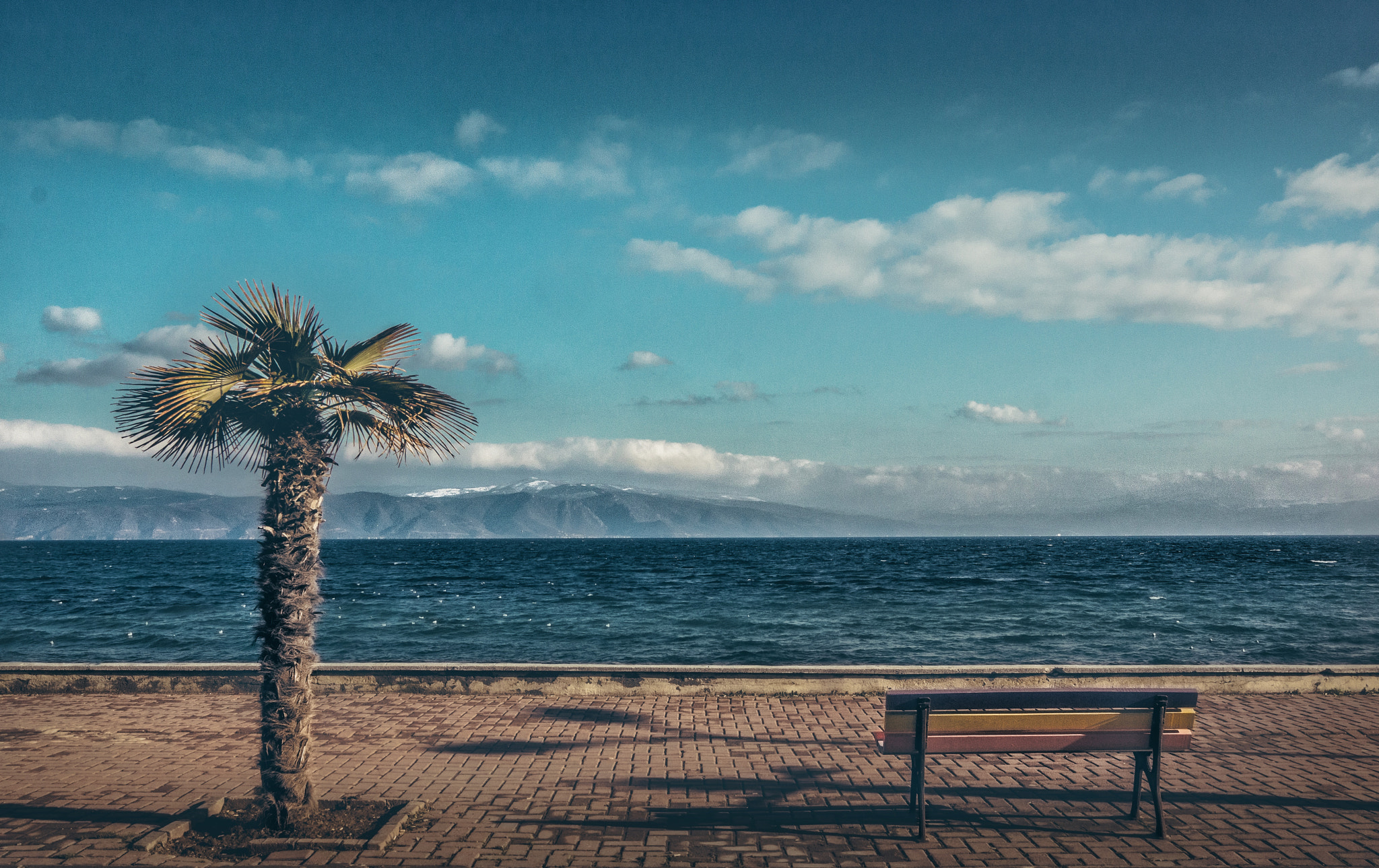 Sony SLT-A65 (SLT-A65V) sample photo. Mudanya photography