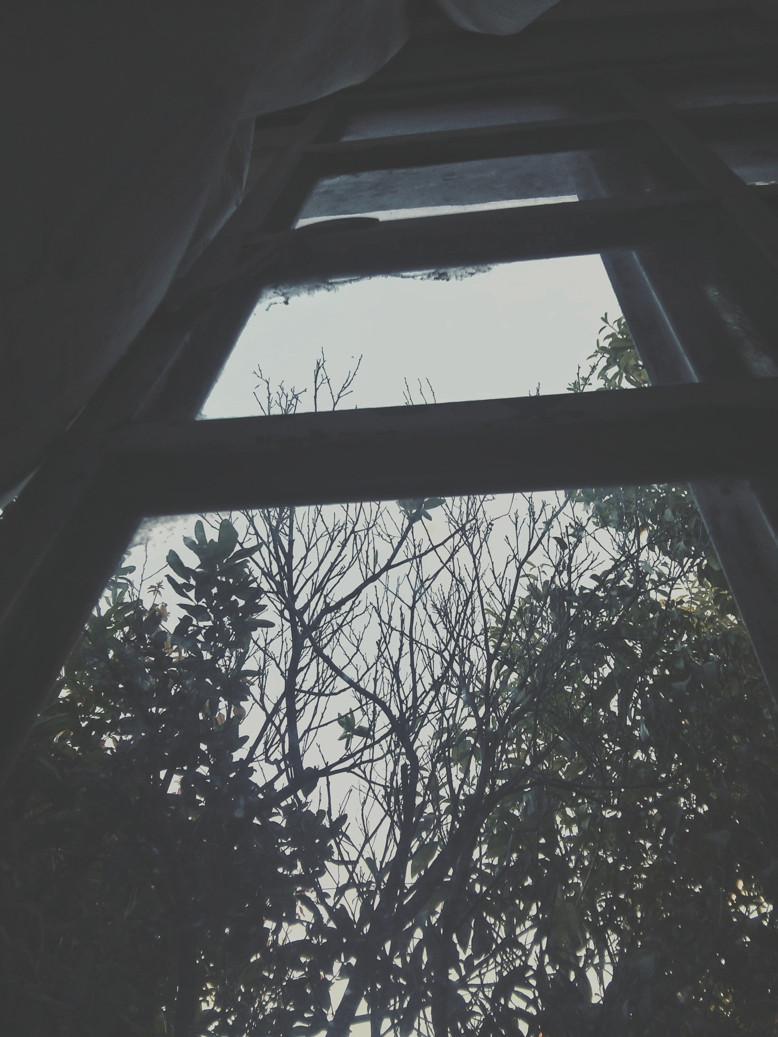 LG L70 sample photo. Les amours imaginaires photography