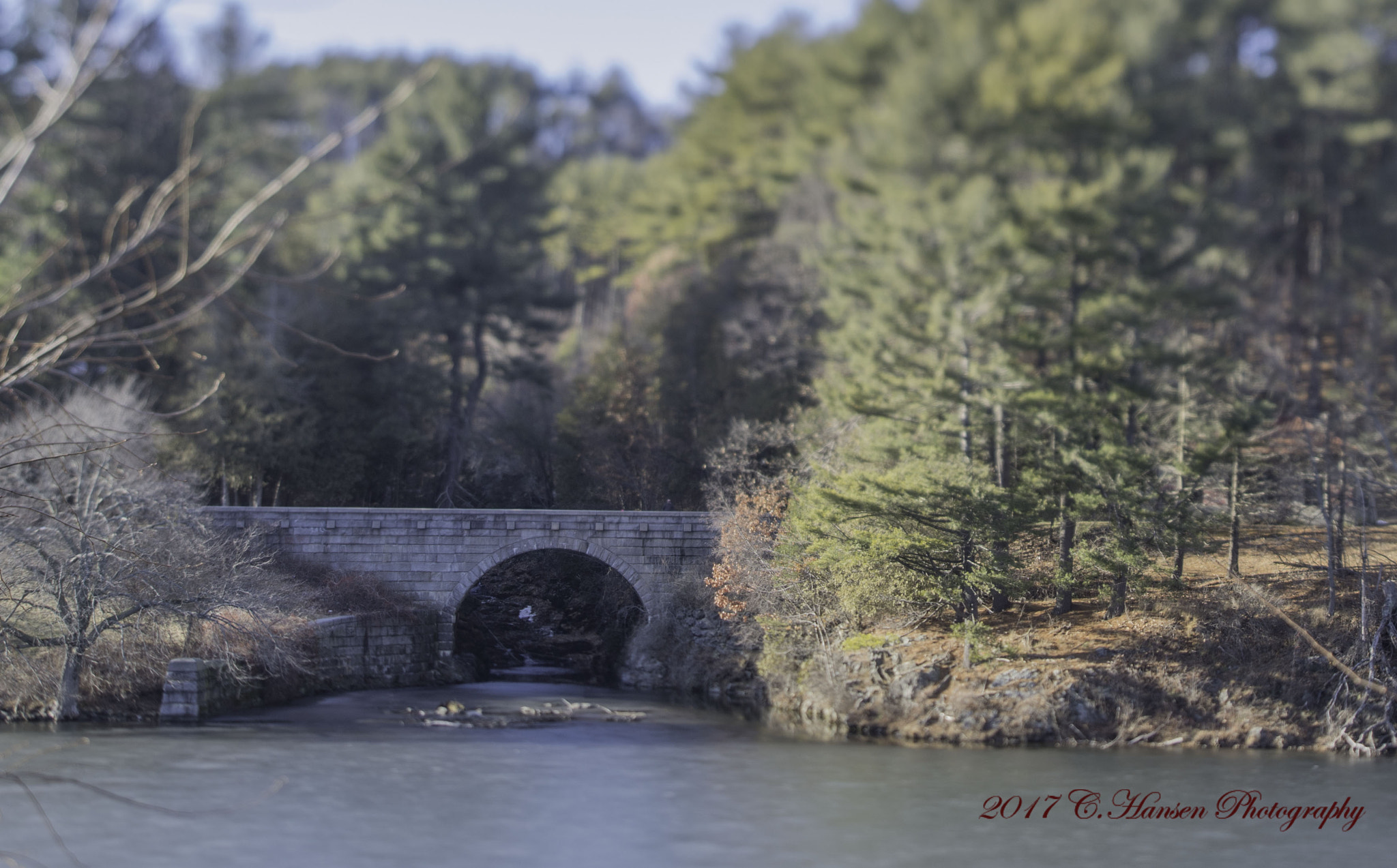 Nikon D7100 + Nikon PC-E Nikkor 24mm F3.5D ED Tilt-Shift sample photo. Stonebridge photography