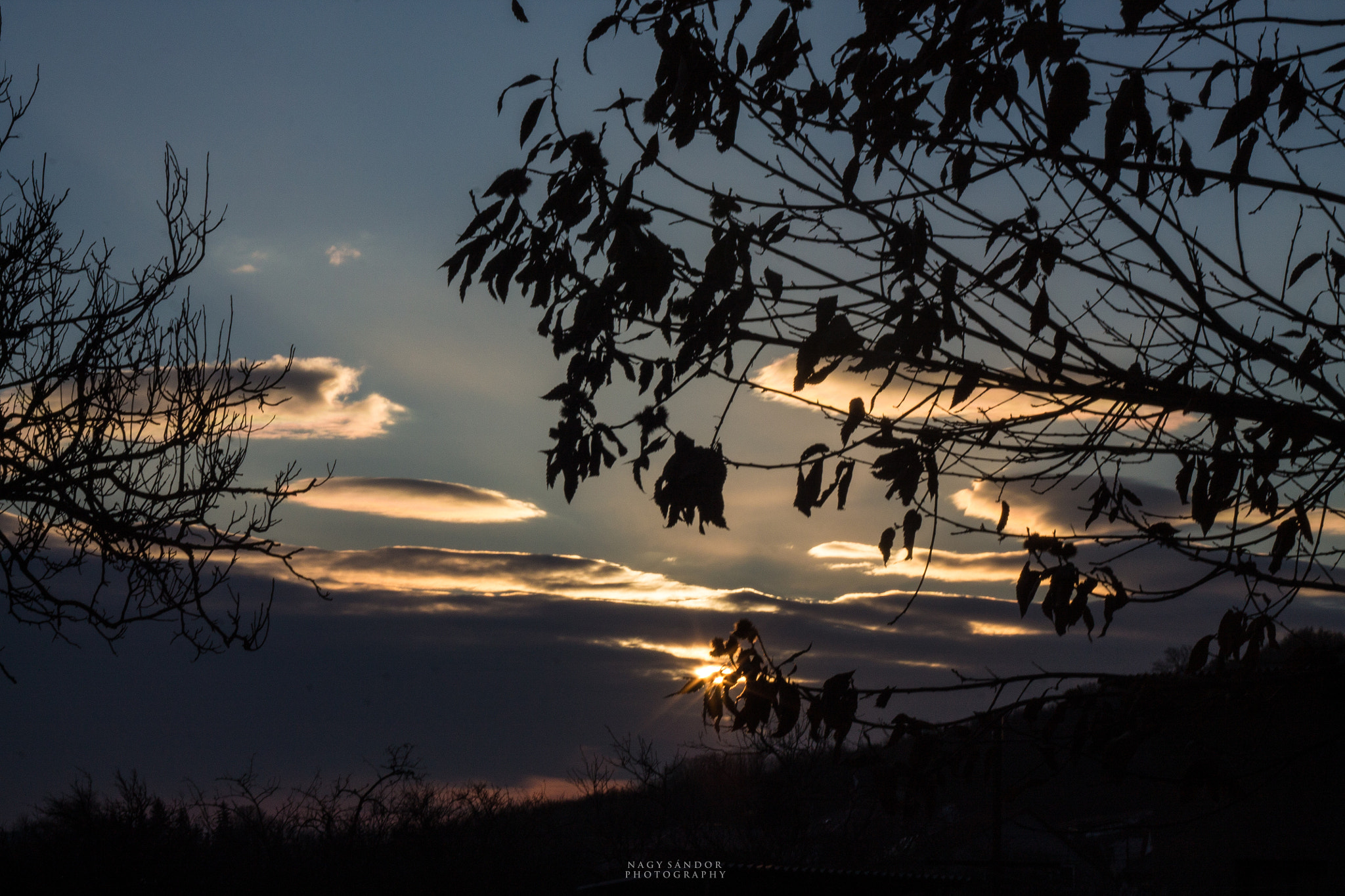 Canon EF 35-80mm f/4-5.6 sample photo
