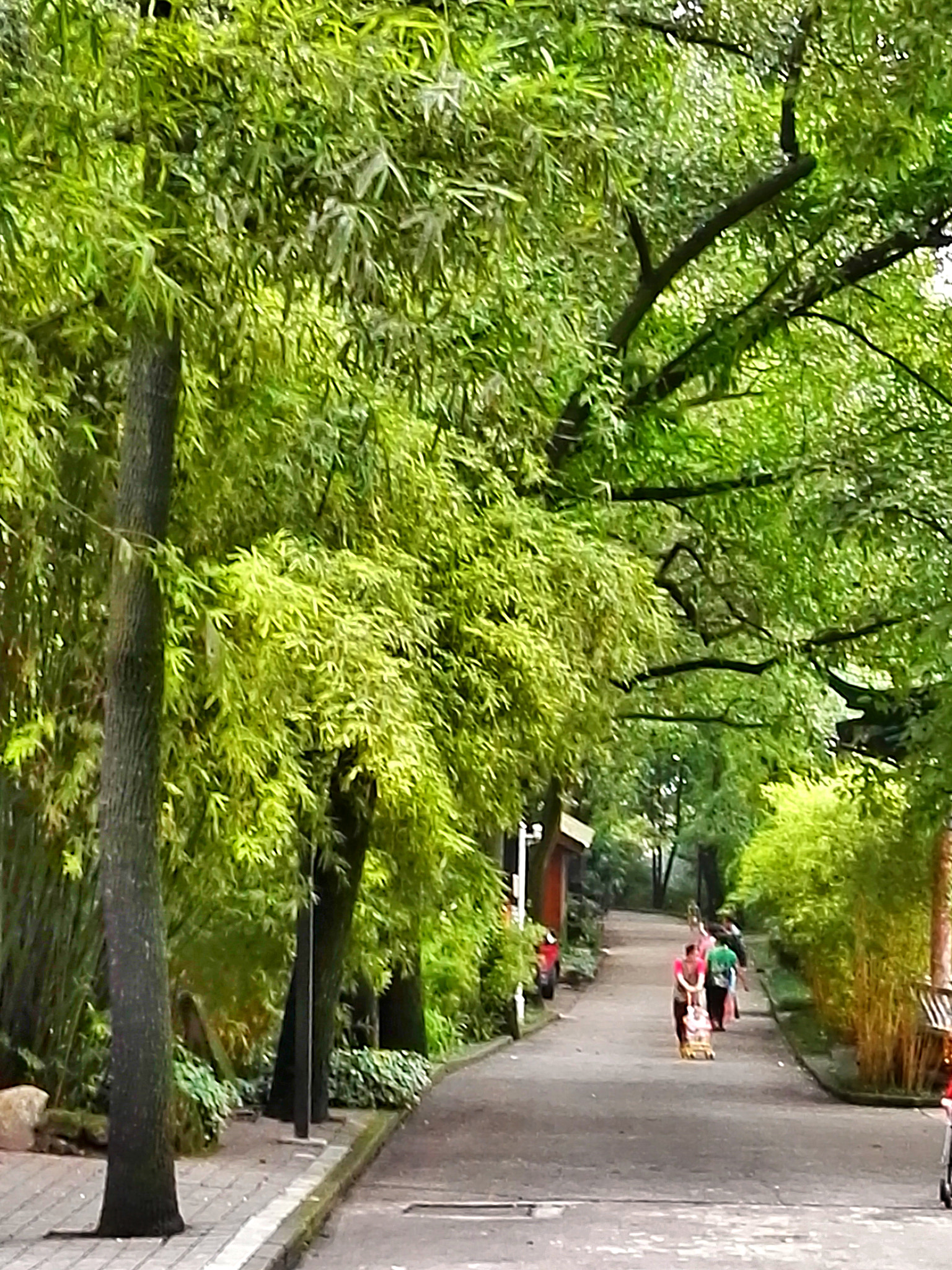 HUAWEI DAV sample photo. Chongqing life photography