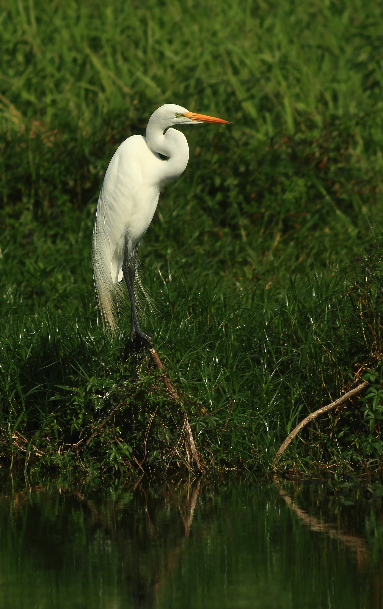 Canon EF 70-300mm F4-5.6 IS USM sample photo. Fishing photography