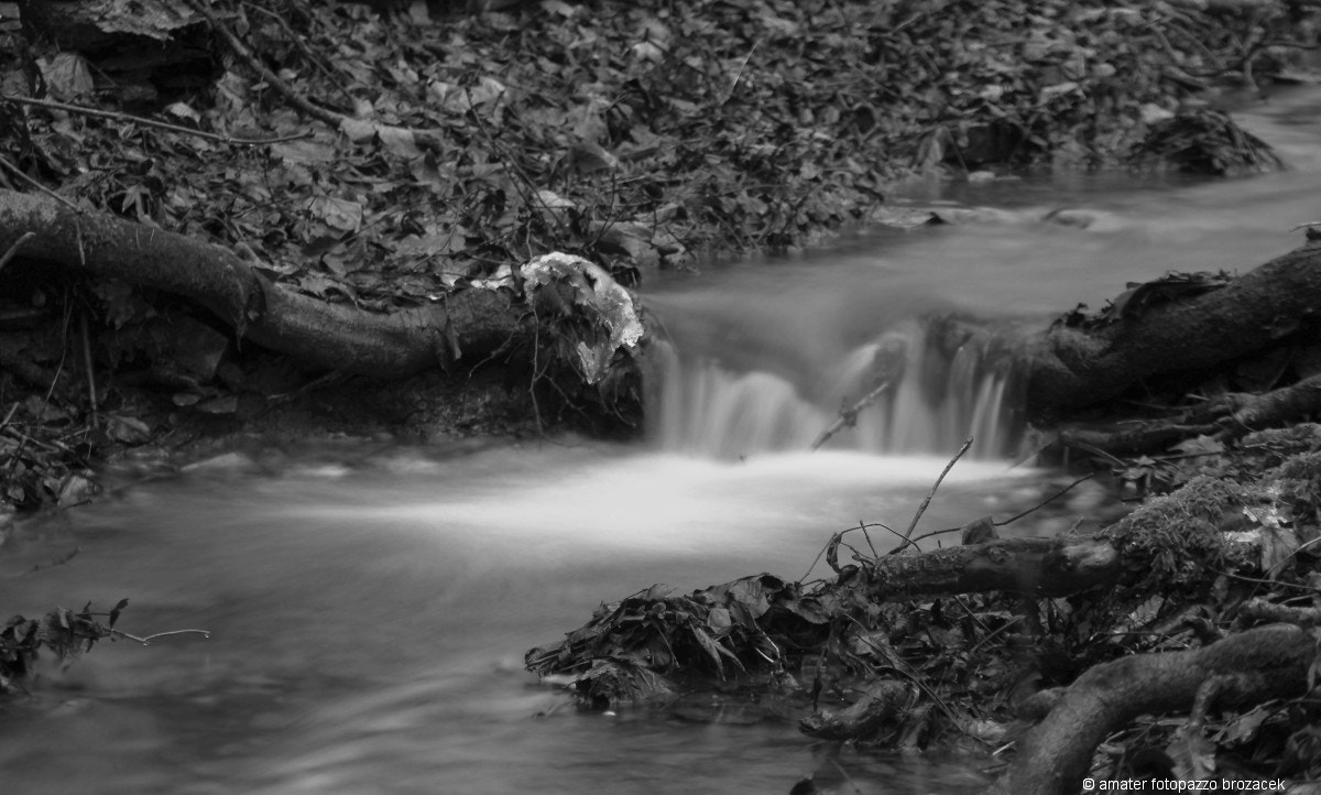 Pentax K-5 sample photo. Vanocni cvaky imgp photography