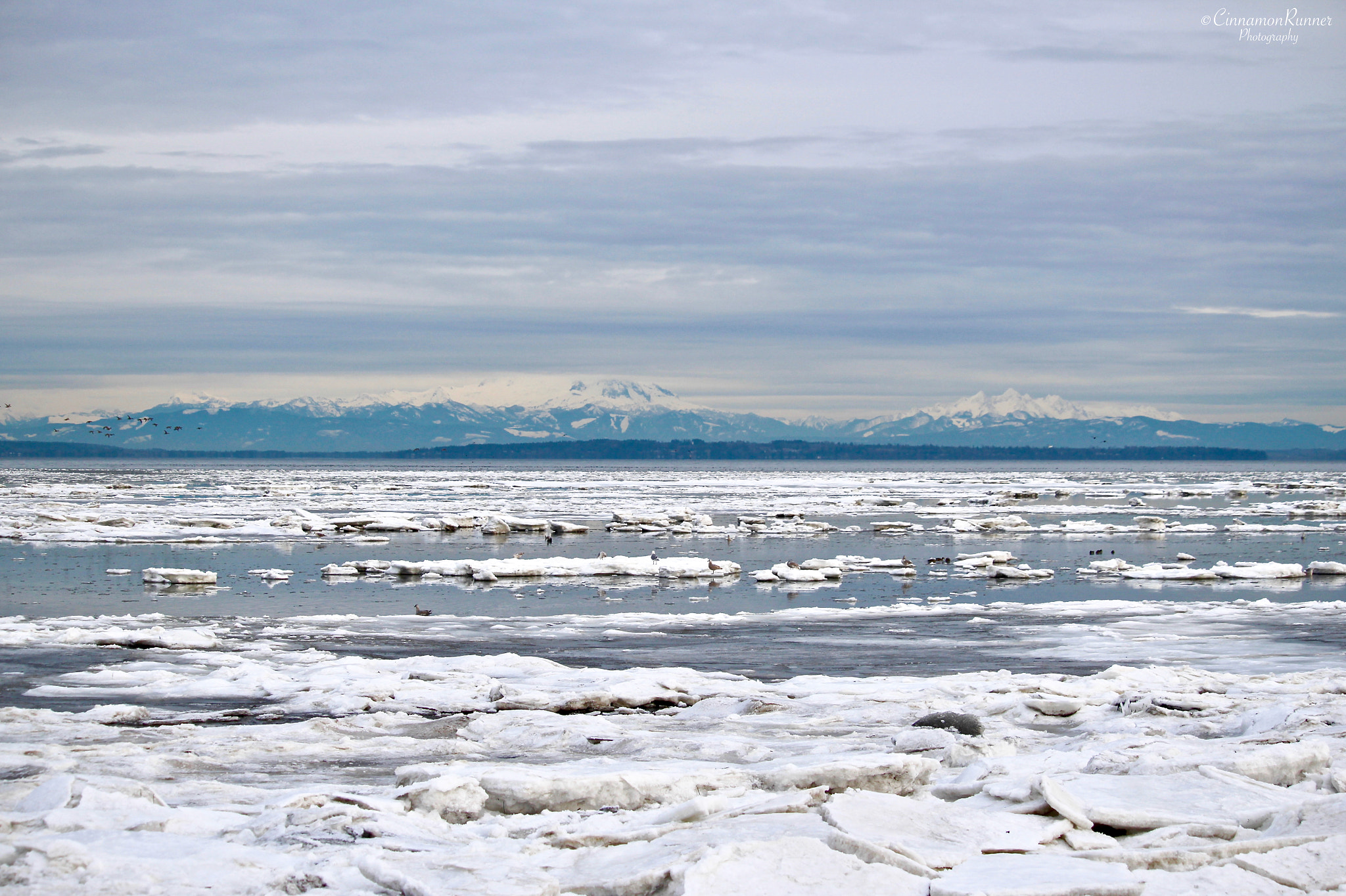 Canon EOS 100D (EOS Rebel SL1 / EOS Kiss X7) sample photo. Icy ocean waters photography