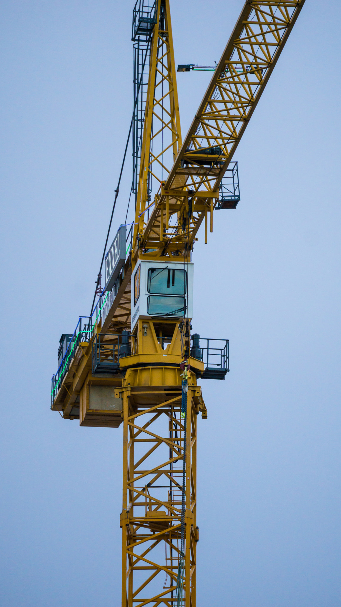 Sony FE 70-300mm F4.5-5.6 G OSS sample photo. Crane photography