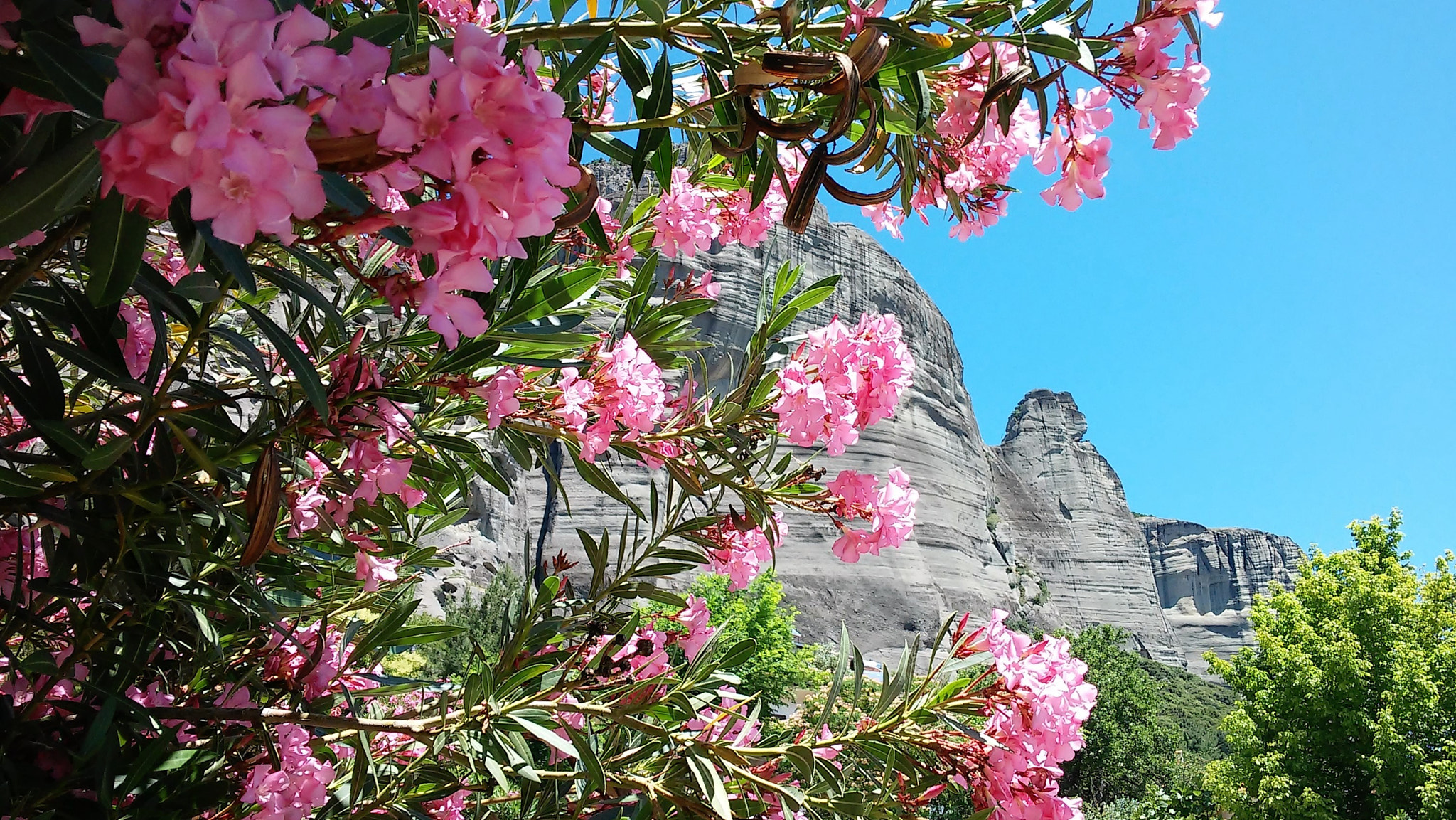 LG D620R sample photo. Meteora photography