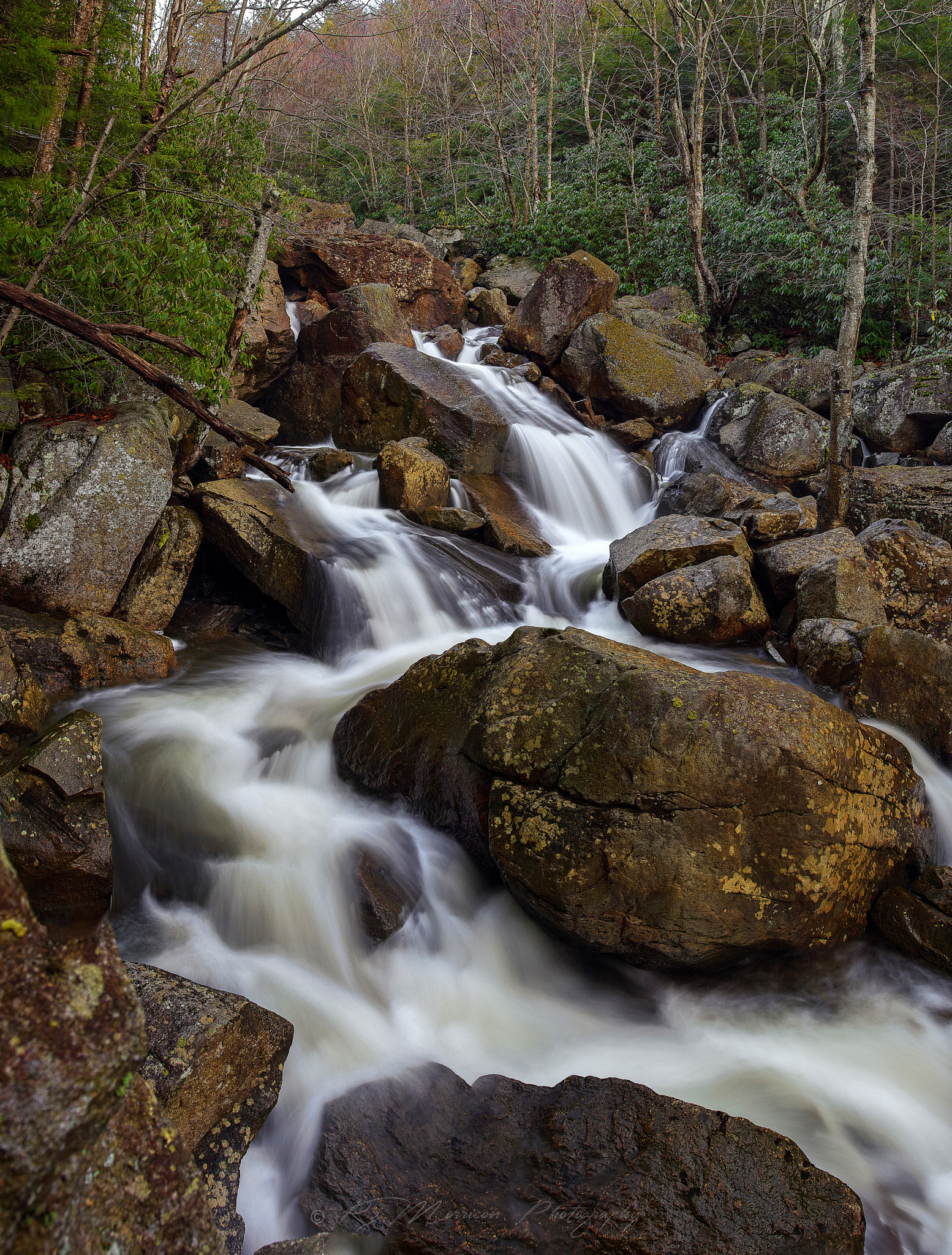 Canon EOS 600D (Rebel EOS T3i / EOS Kiss X5) sample photo. Pendleton run  photography