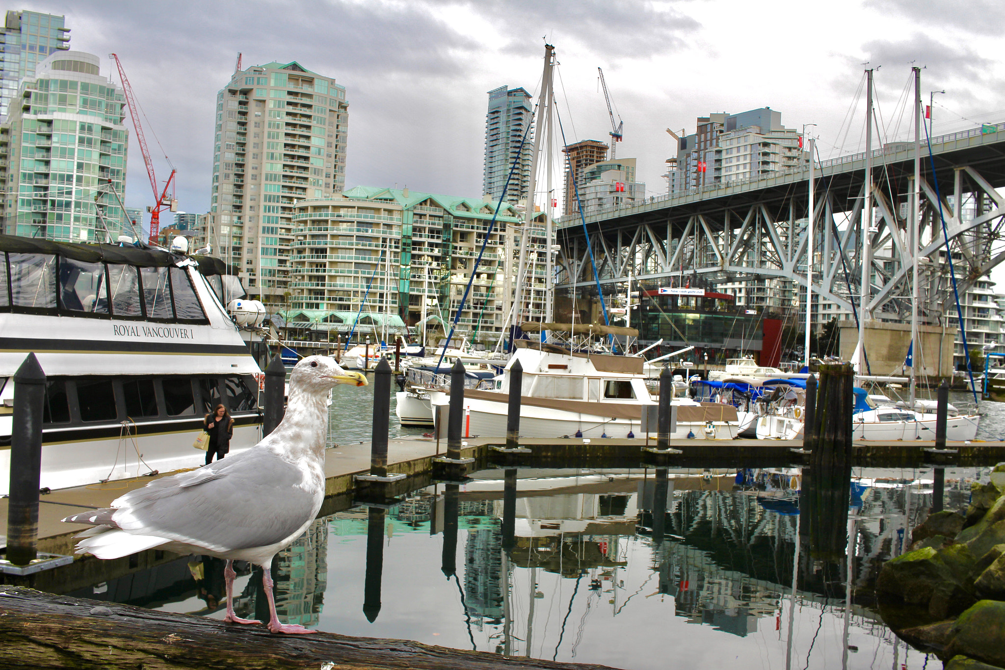Canon EF-S 24mm F2.8 STM sample photo. Great day for a flight photography