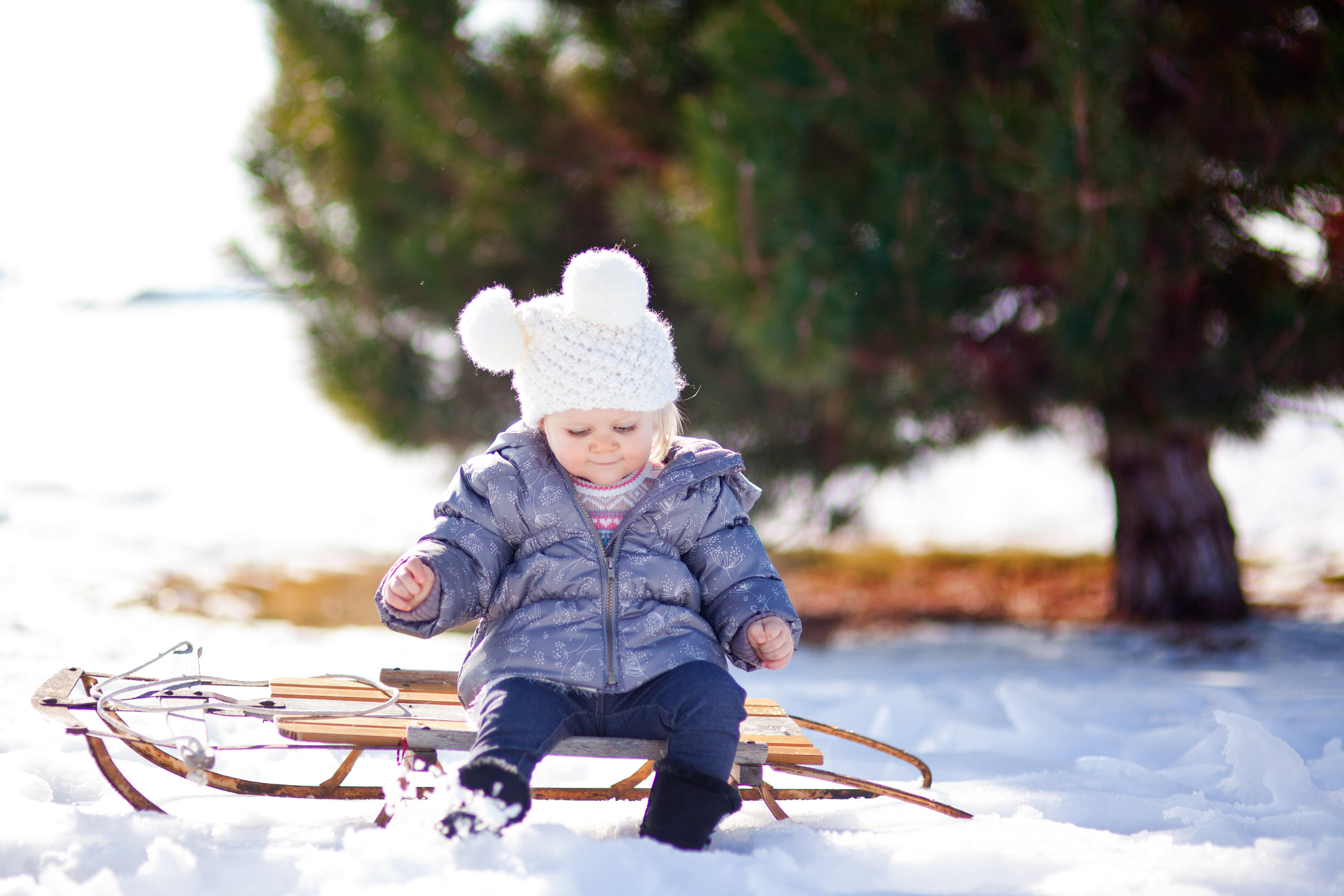 Canon EOS 5D Mark II + Sigma 85mm F1.4 EX DG HSM sample photo. Snow baby photography