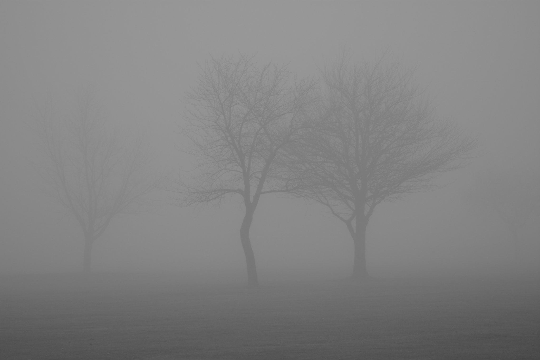 Nikon AF Nikkor 70-300mm F4-5.6G sample photo. The mist photography