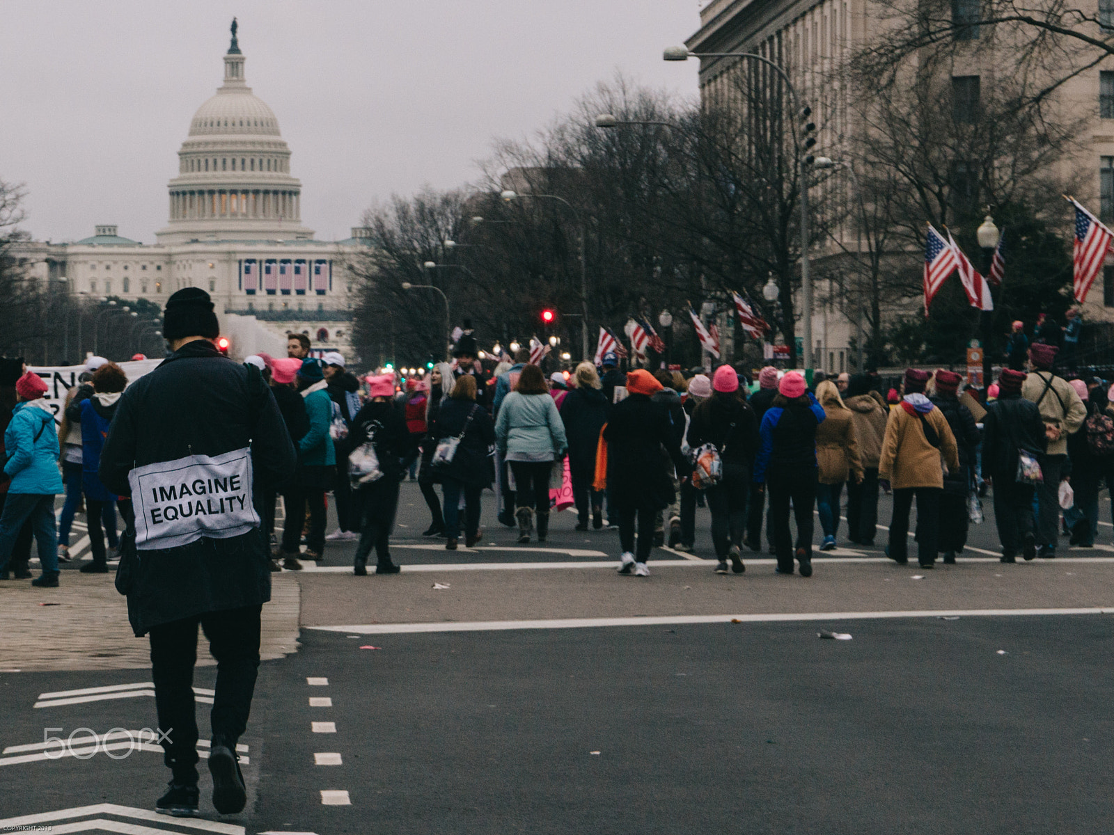 Canon EOS 650D (EOS Rebel T4i / EOS Kiss X6i) sample photo. Imagine | women's march photography