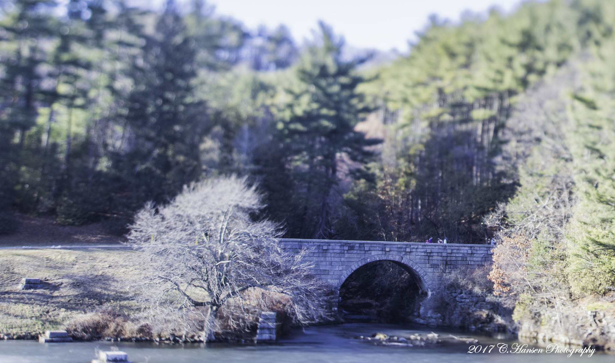 Nikon D7100 + Nikon PC-E Nikkor 24mm F3.5D ED Tilt-Shift sample photo