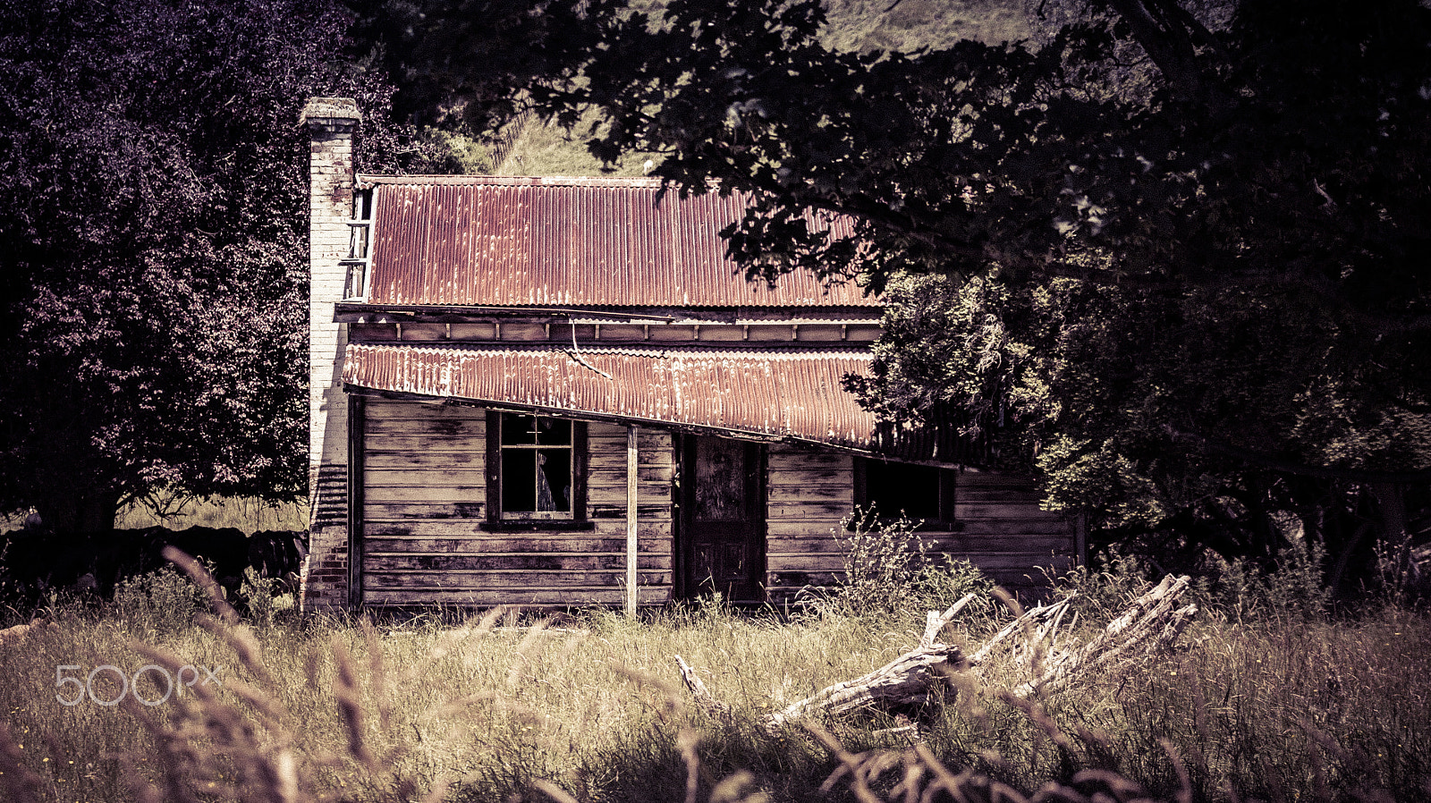 Canon EF 75-300mm f/4-5.6 USM sample photo. Abandoned. photography