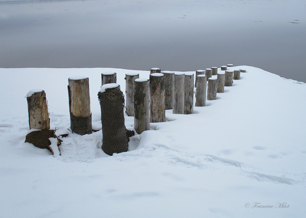 Canon PowerShot ELPH 180 (IXUS 175 / IXY 180) sample photo. Vestiges du temps photography