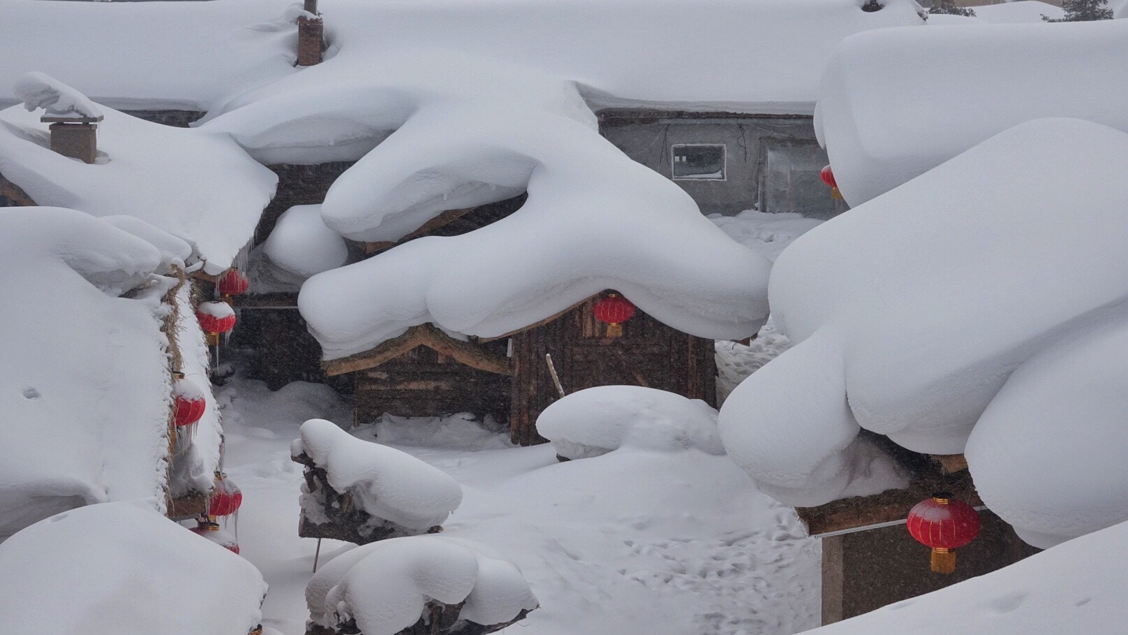 Sony 24-600mm F2.4-4.0 sample photo. The snow country photography