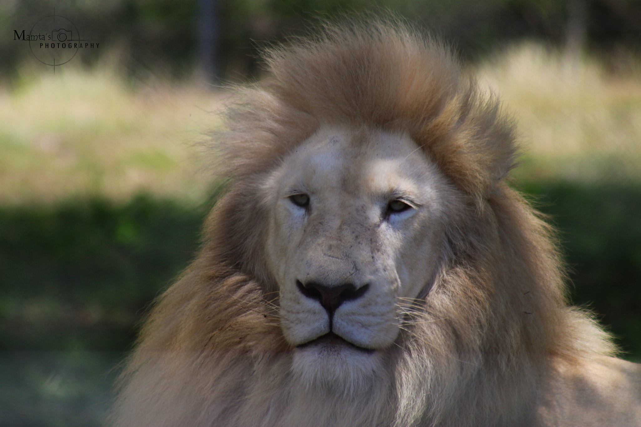 Canon EF 75-300mm f/4-5.6 USM sample photo. Img photography