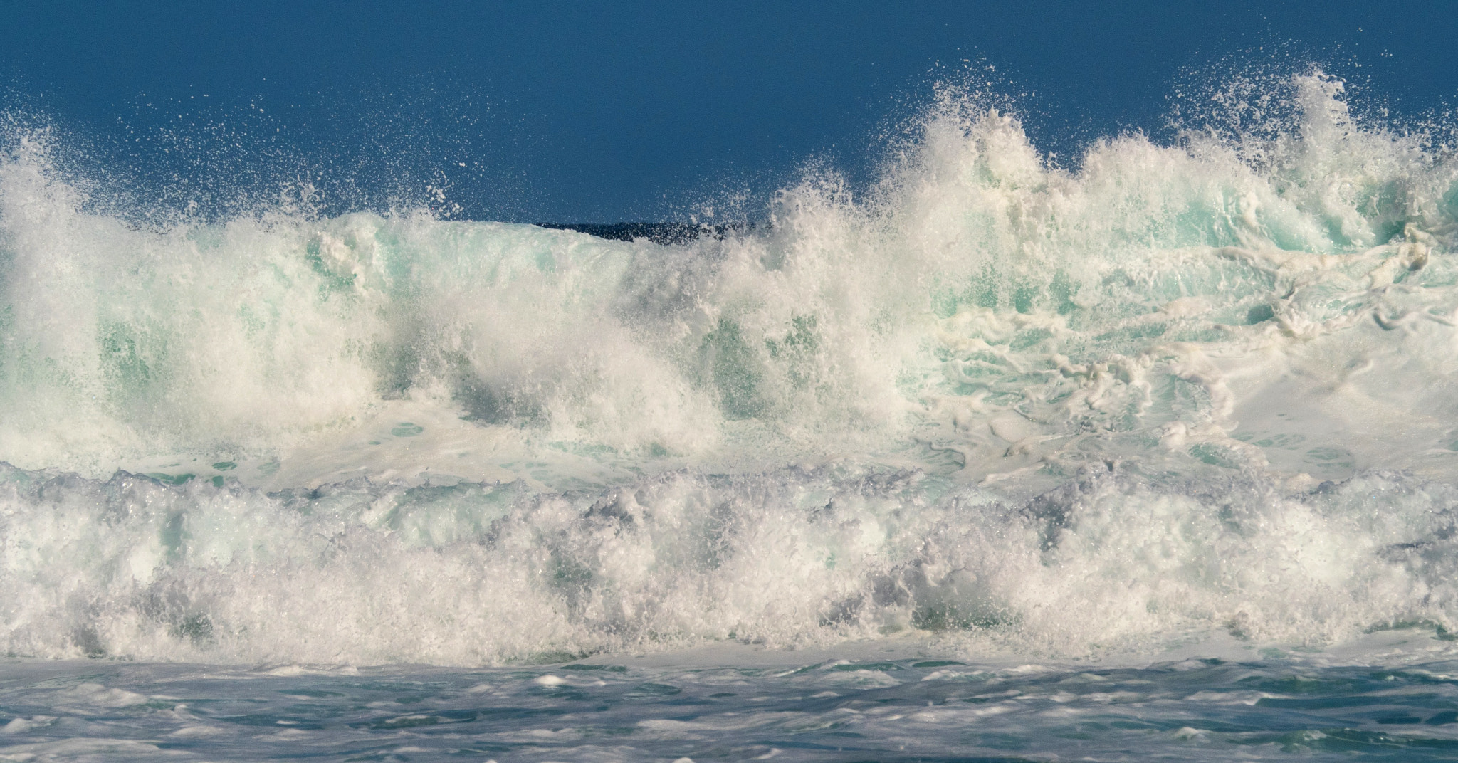 Olympus M.Zuiko Digital ED 40-150mm F2.8 Pro sample photo. Fuzzy foam photography
