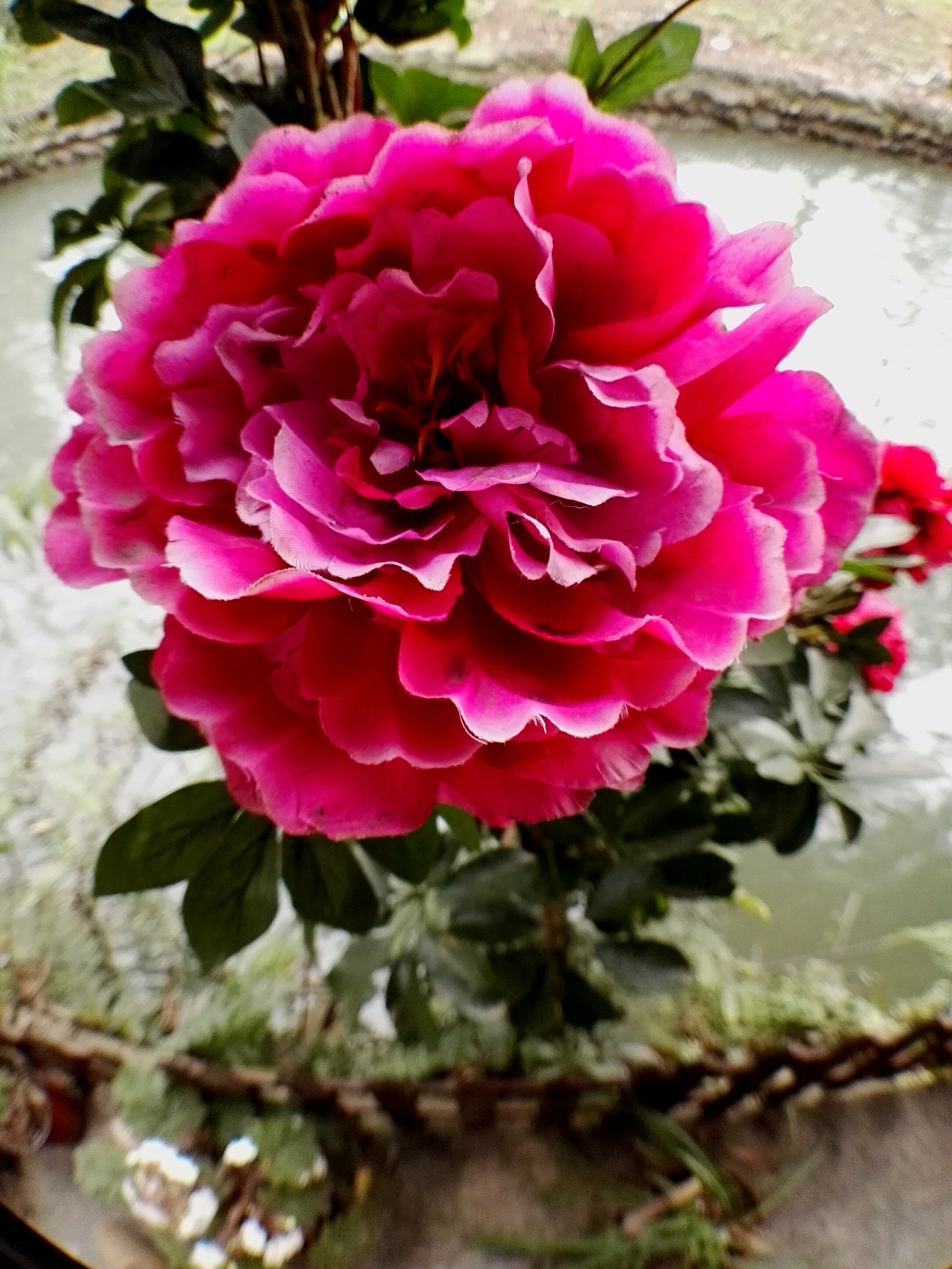 HUAWEI DAV sample photo