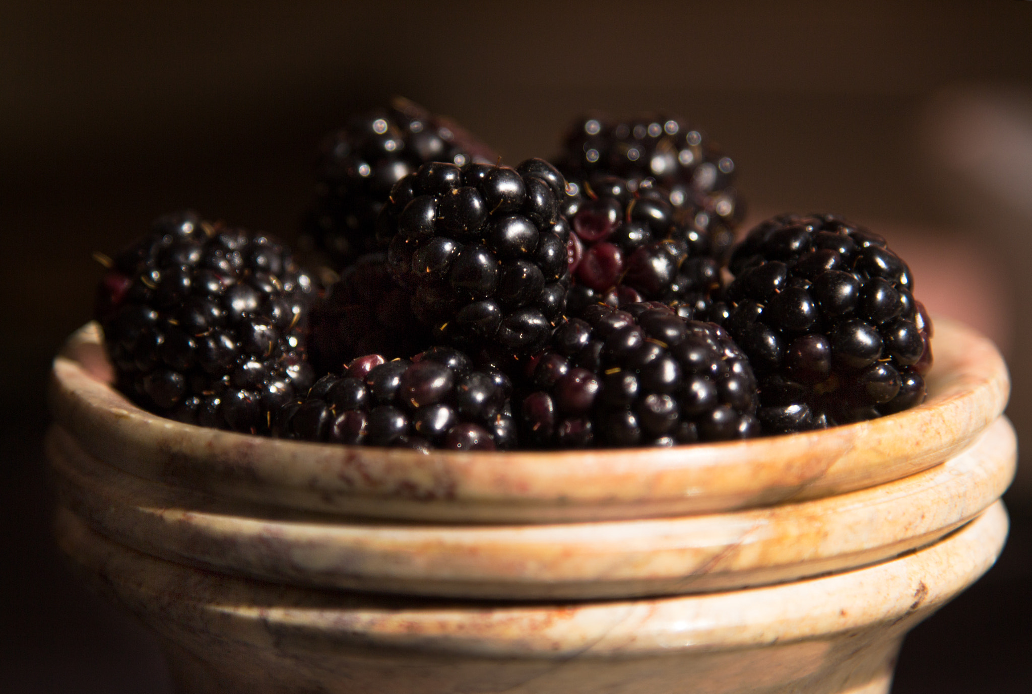 Canon EOS 700D (EOS Rebel T5i / EOS Kiss X7i) sample photo. Blackberries photography