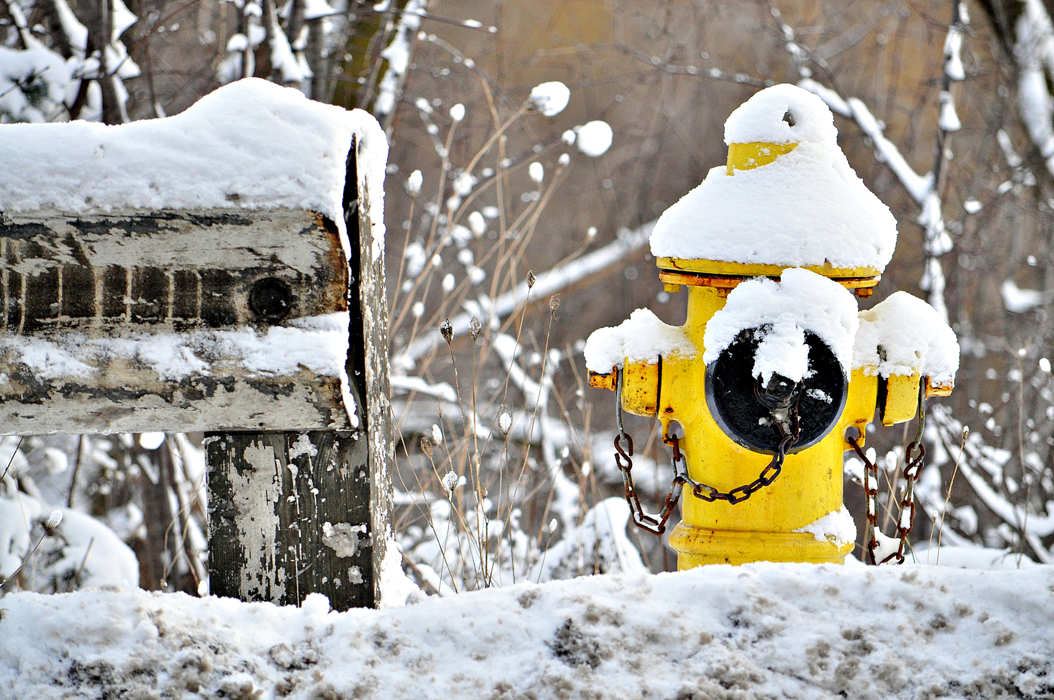 Nikon D5000 sample photo. A snowy day photography