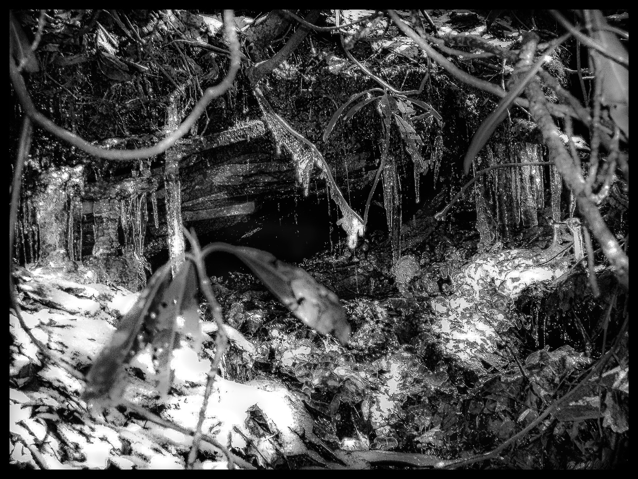Olympus X-3,C-60Z sample photo. Thawing fresh water spring photography