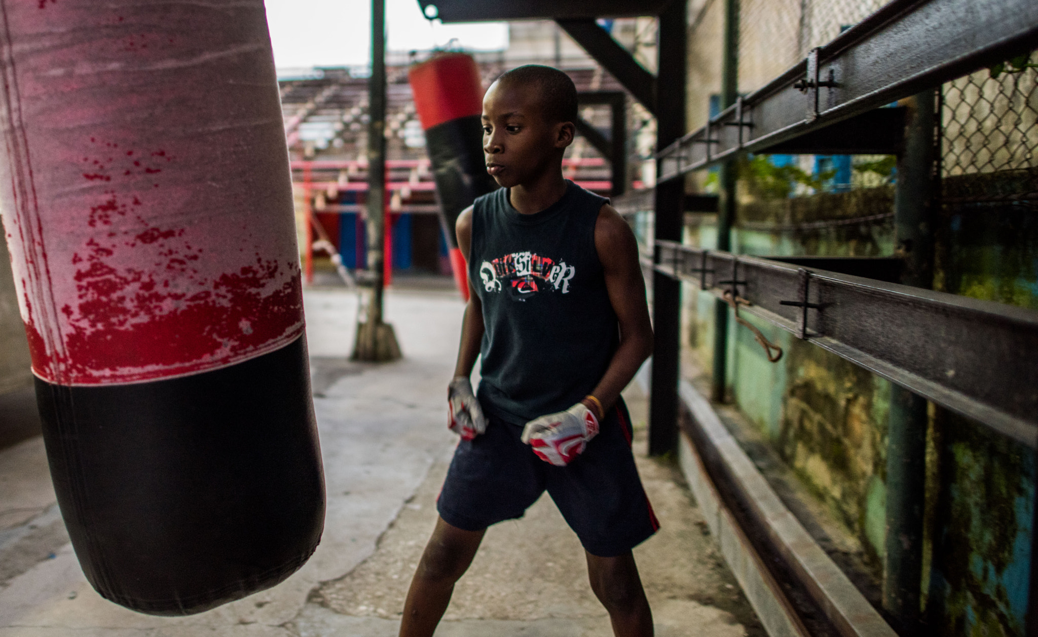 Nikon D810 + Nikon AF-S Nikkor 24mm F1.4G ED sample photo. Havana boxer photography