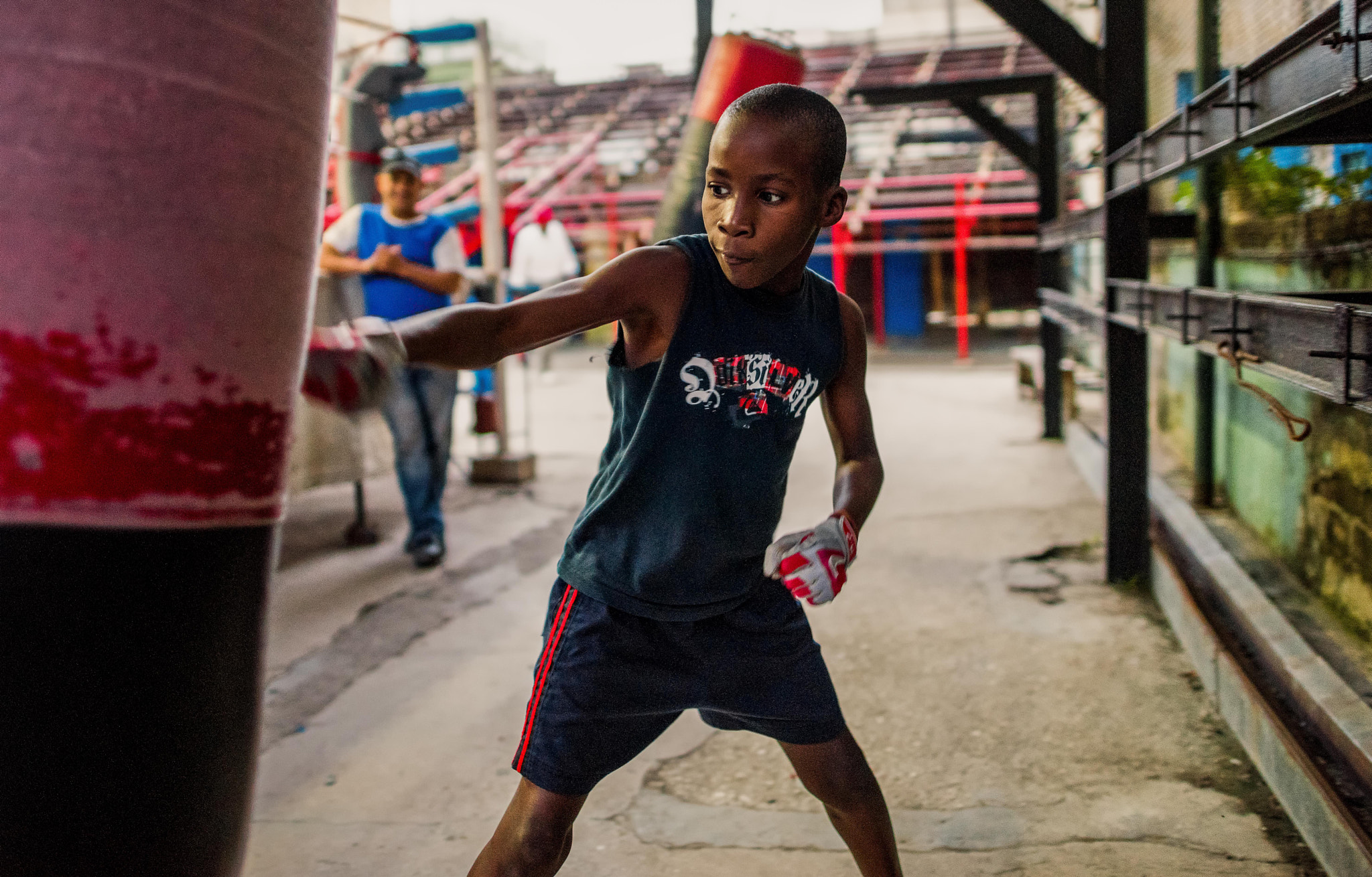 Nikon D810 sample photo. Havana boxer photography