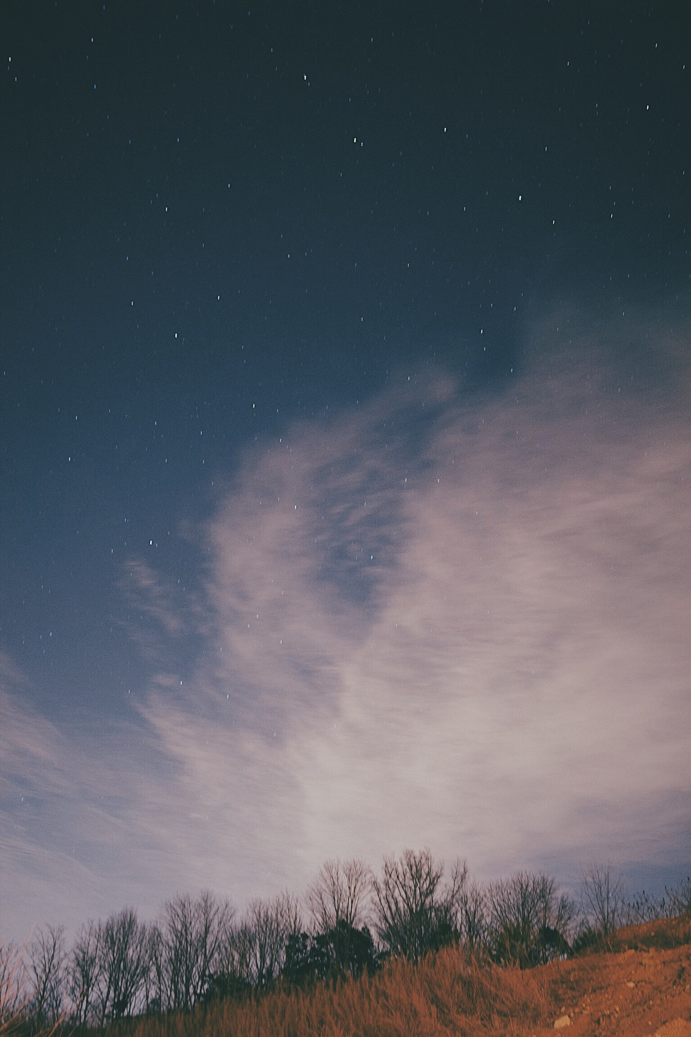 Sigma 24mm F1.4 DG HSM Art sample photo. What better than a hotdog a good time with friends and some beautiful stars? photography