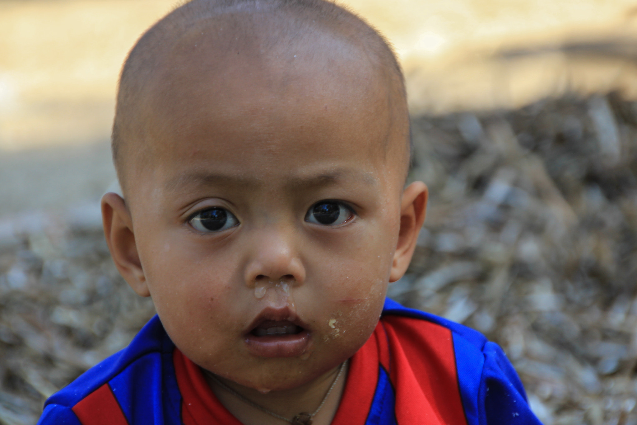 Sigma 18-250mm F3.5-6.3 DC OS HSM sample photo. Burma childen photography