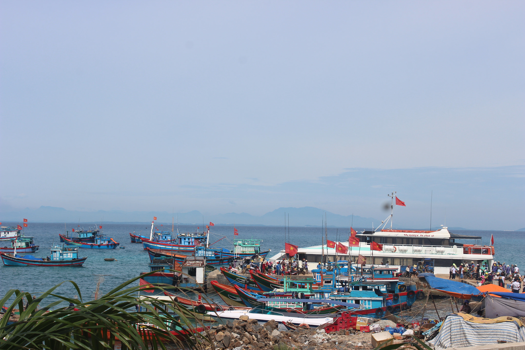 Canon EOS 600D (Rebel EOS T3i / EOS Kiss X5) sample photo. Cang lý son () photography